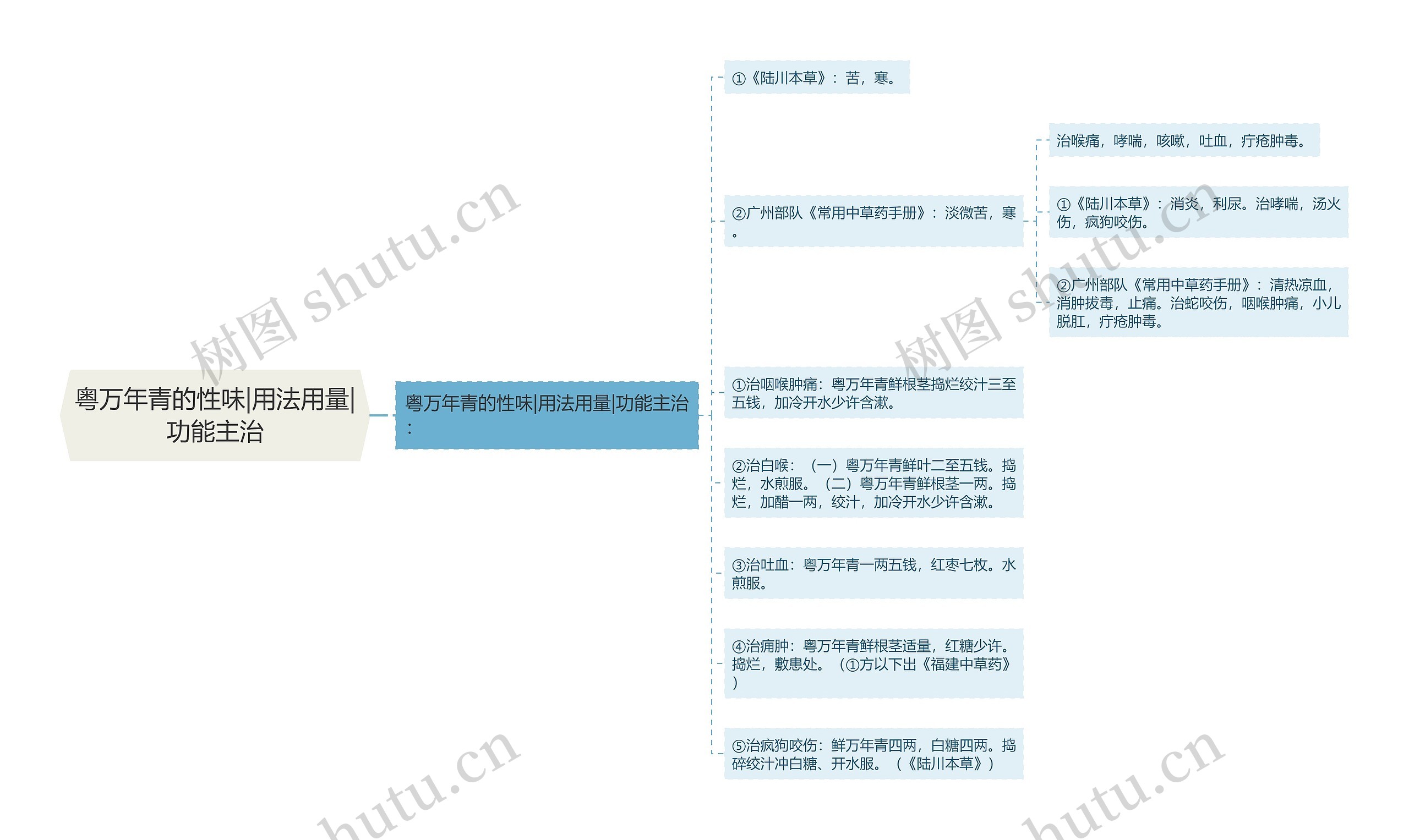 粤万年青的性味|用法用量|功能主治思维导图