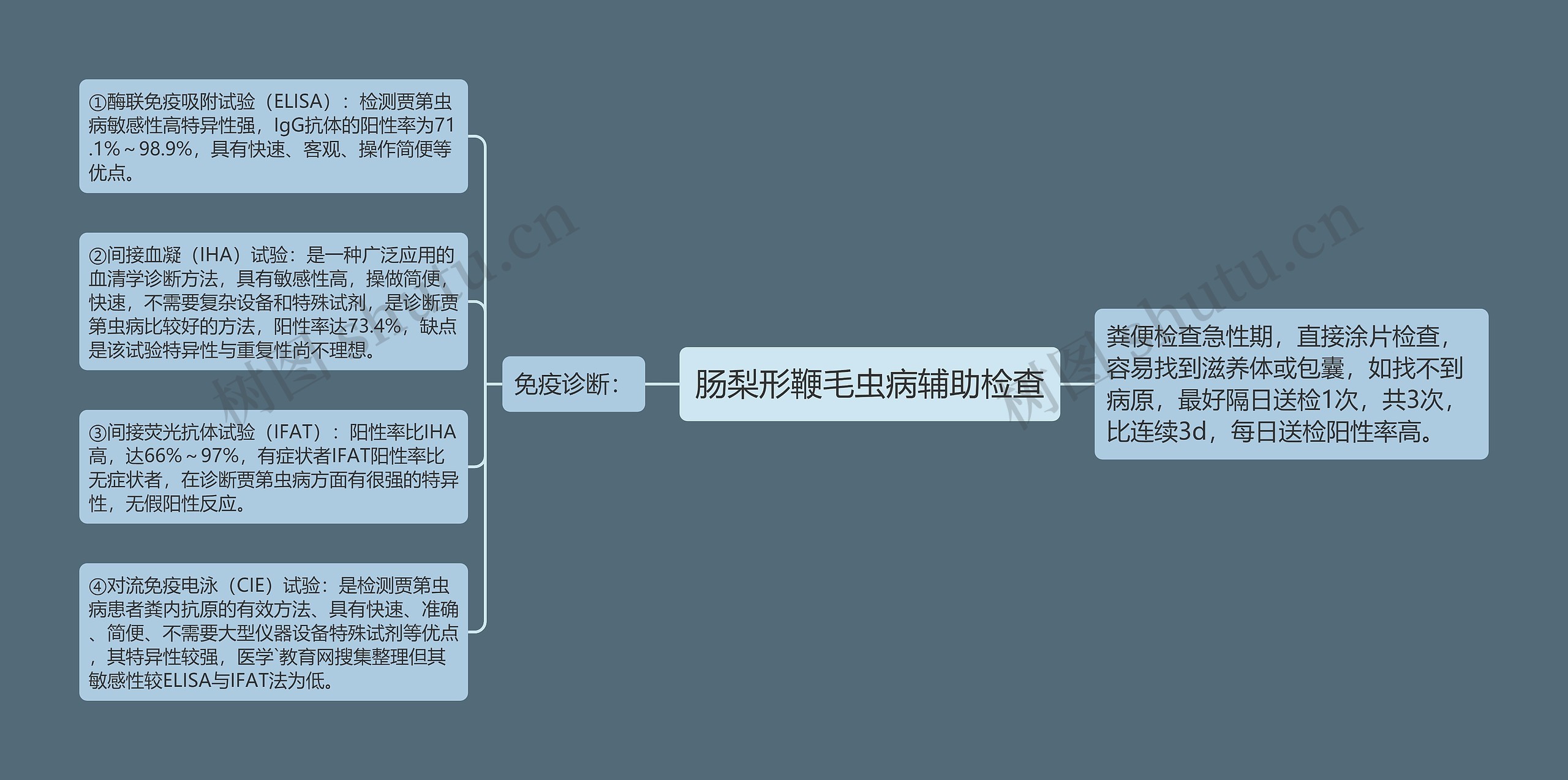 肠梨形鞭毛虫病辅助检查思维导图