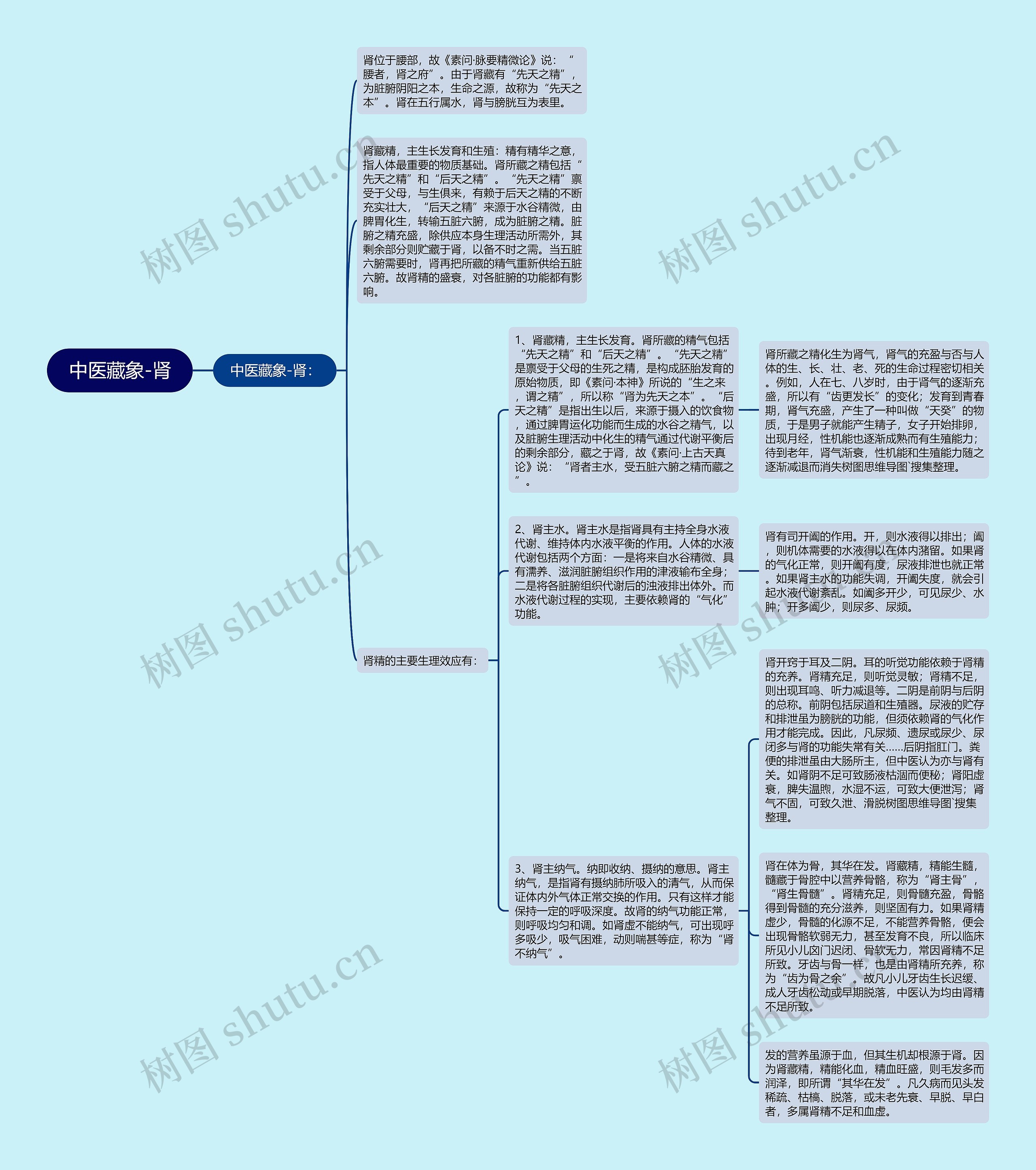中医藏象-肾思维导图
