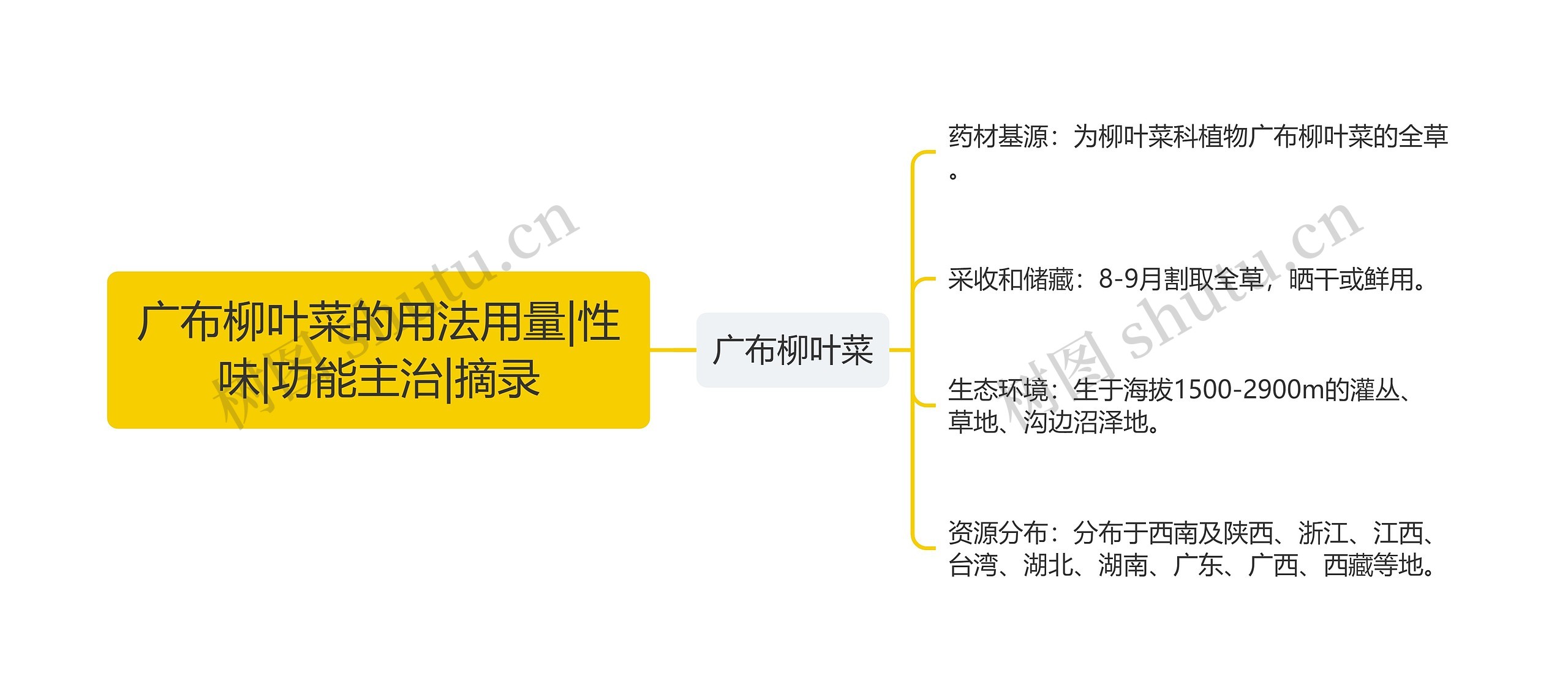 广布柳叶菜的用法用量|性味|功能主治|摘录思维导图