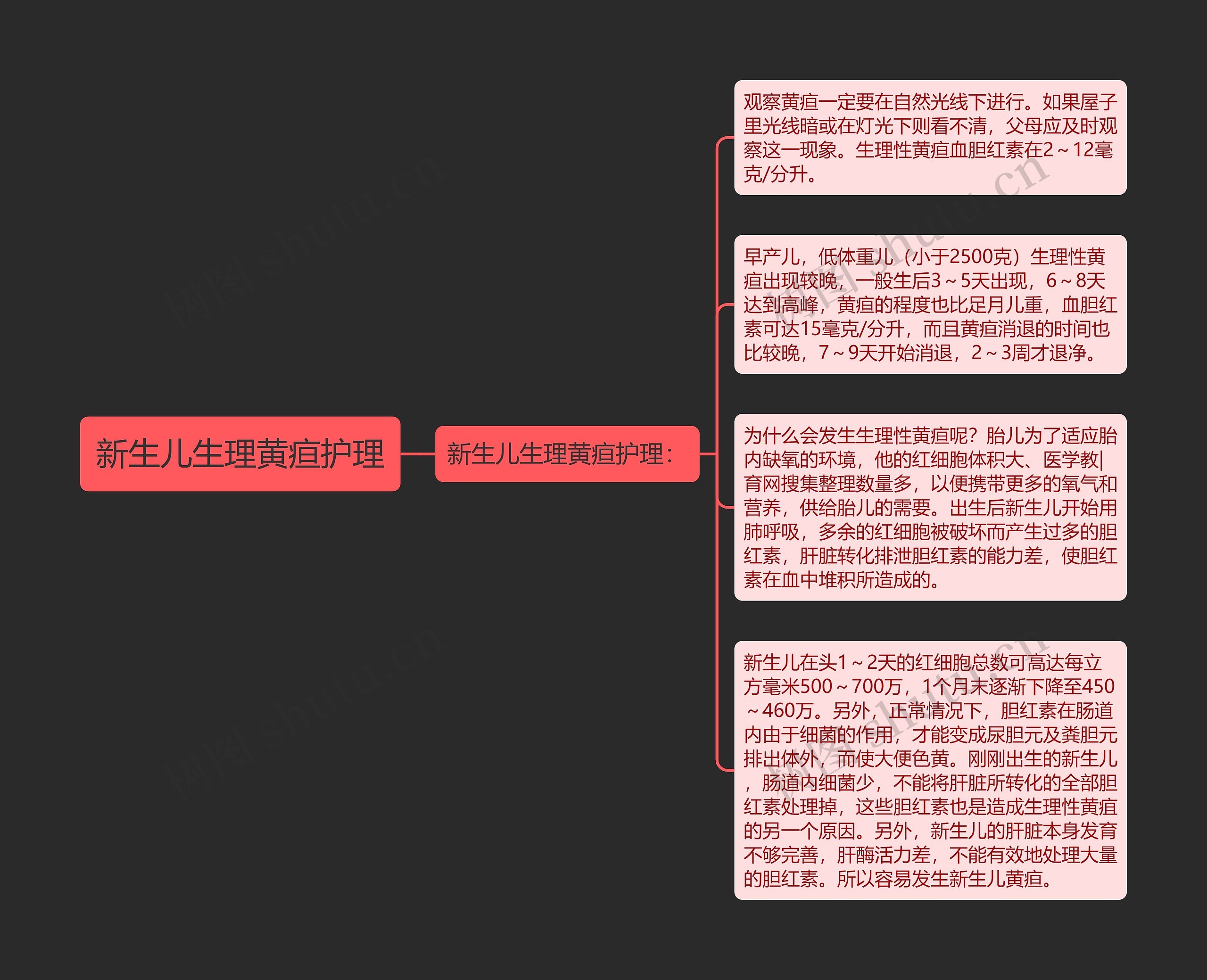 新生儿生理黄疸护理思维导图