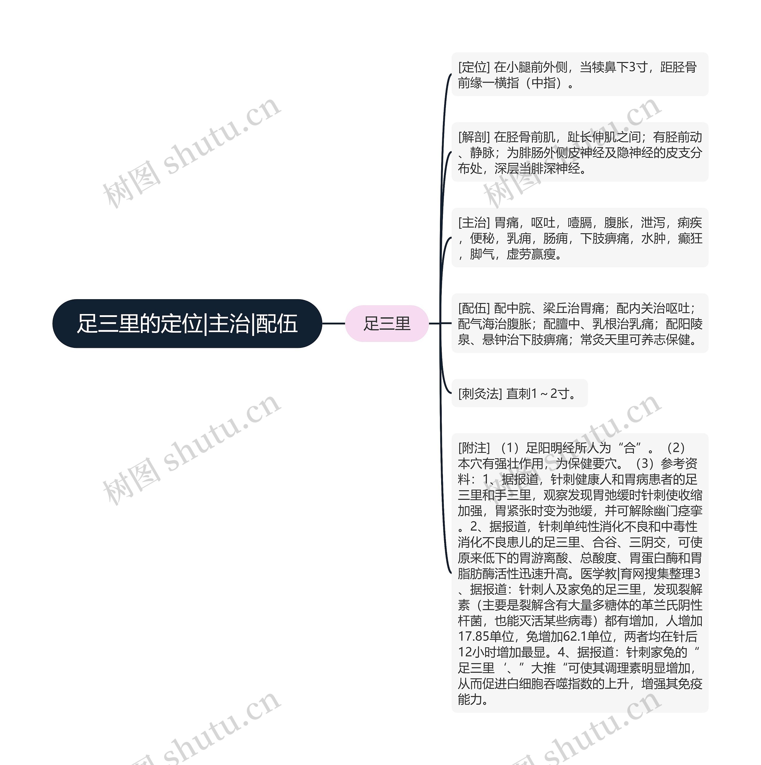 足三里的定位|主治|配伍 足三里的定位|主治|配伍