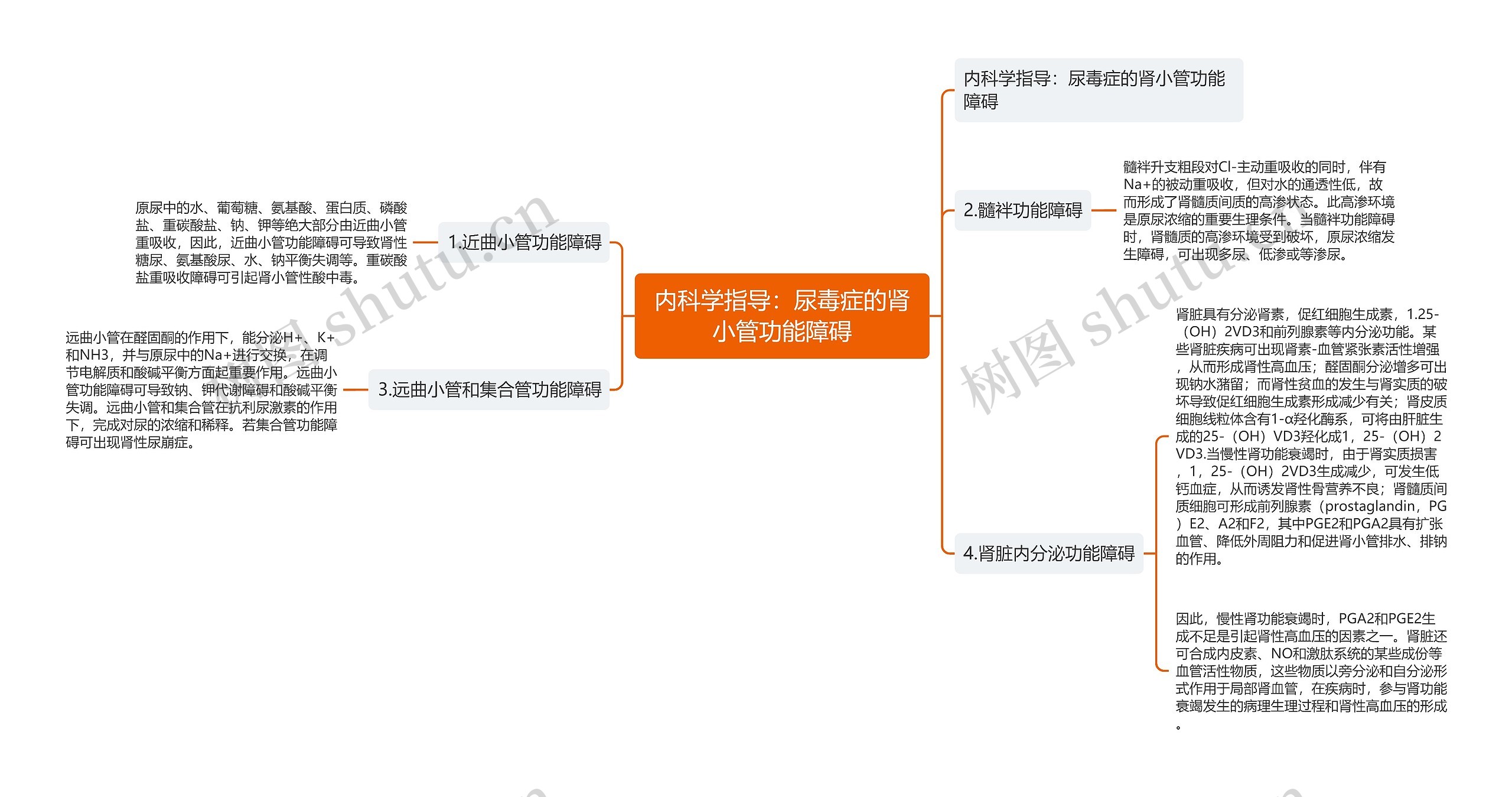 内科学指导：尿毒症的肾小管功能障碍思维导图