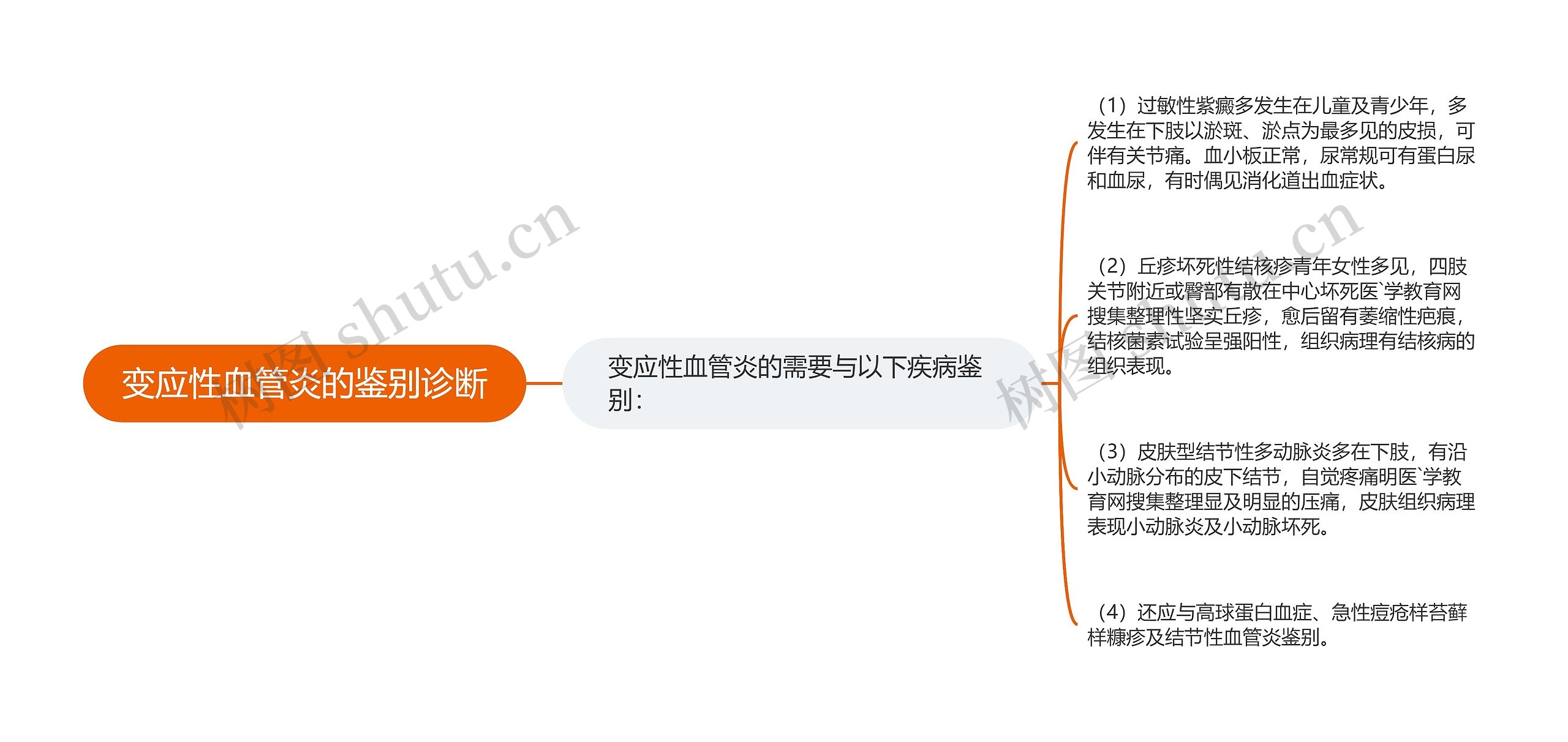 变应性血管炎的鉴别诊断思维导图