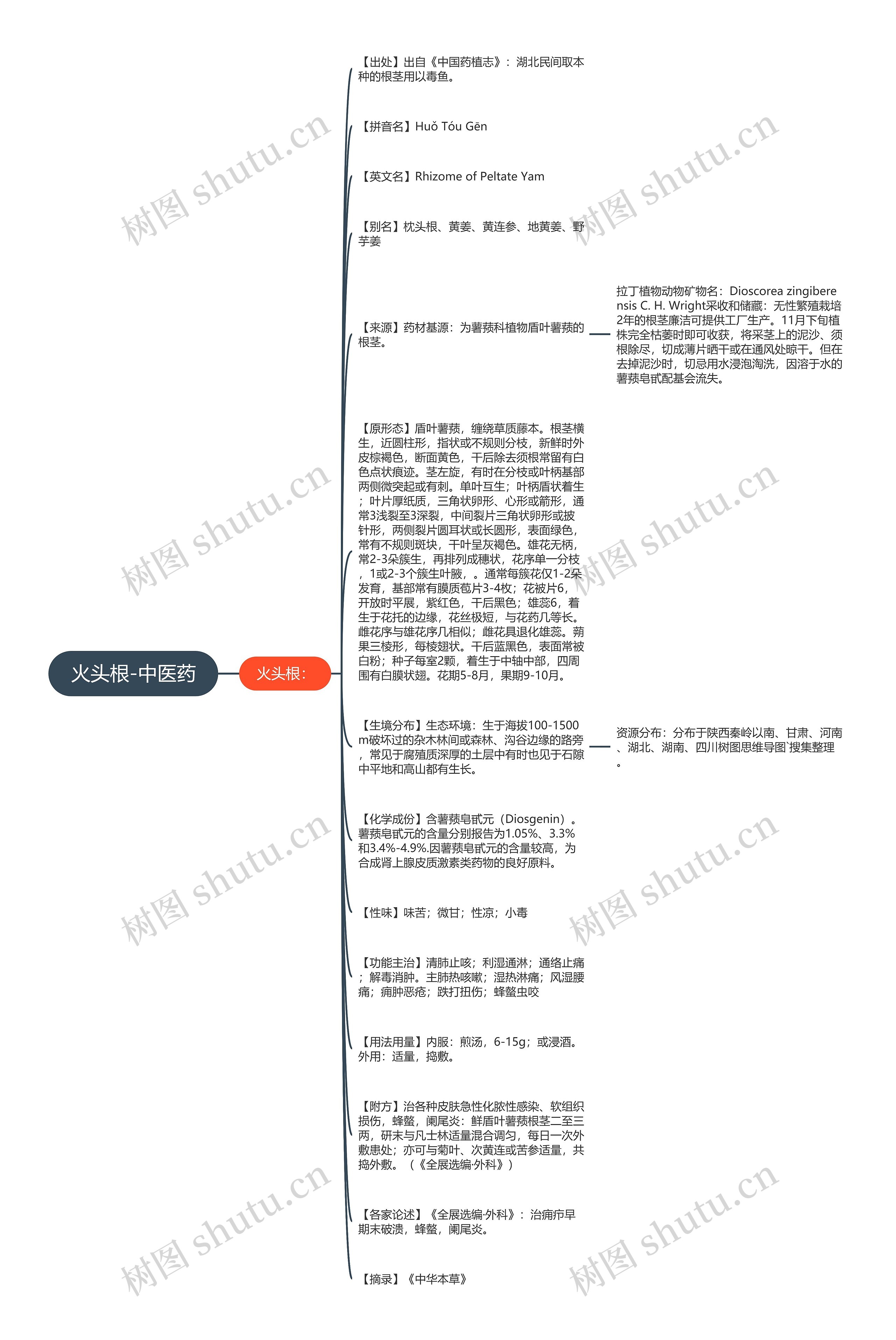 火头根-中医药思维导图