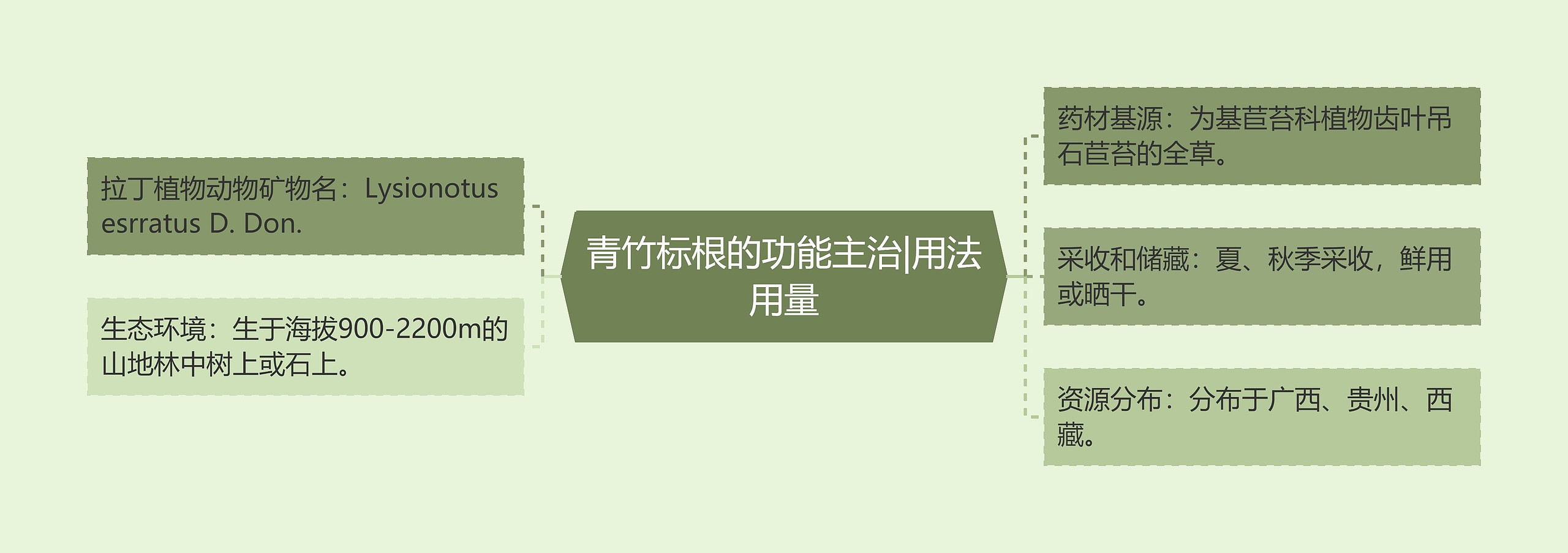 青竹标根的功能主治|用法用量