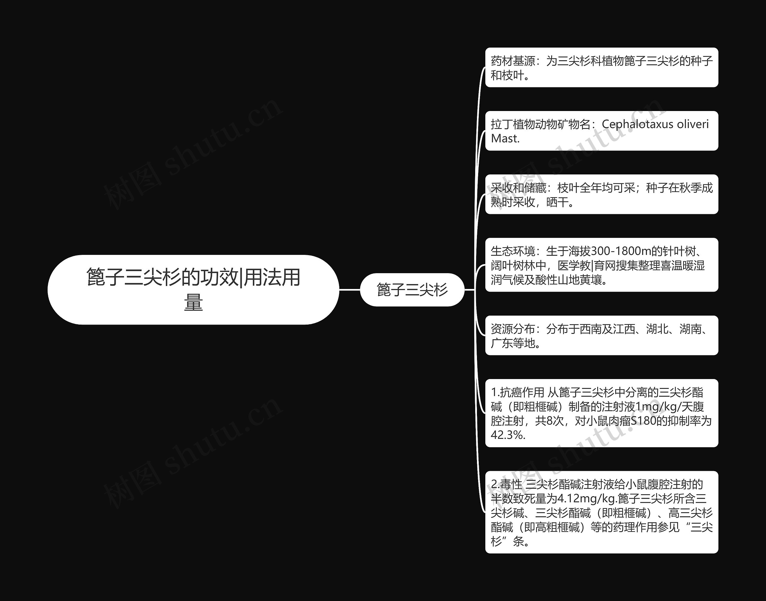 篦子三尖杉的功效|用法用量思维导图