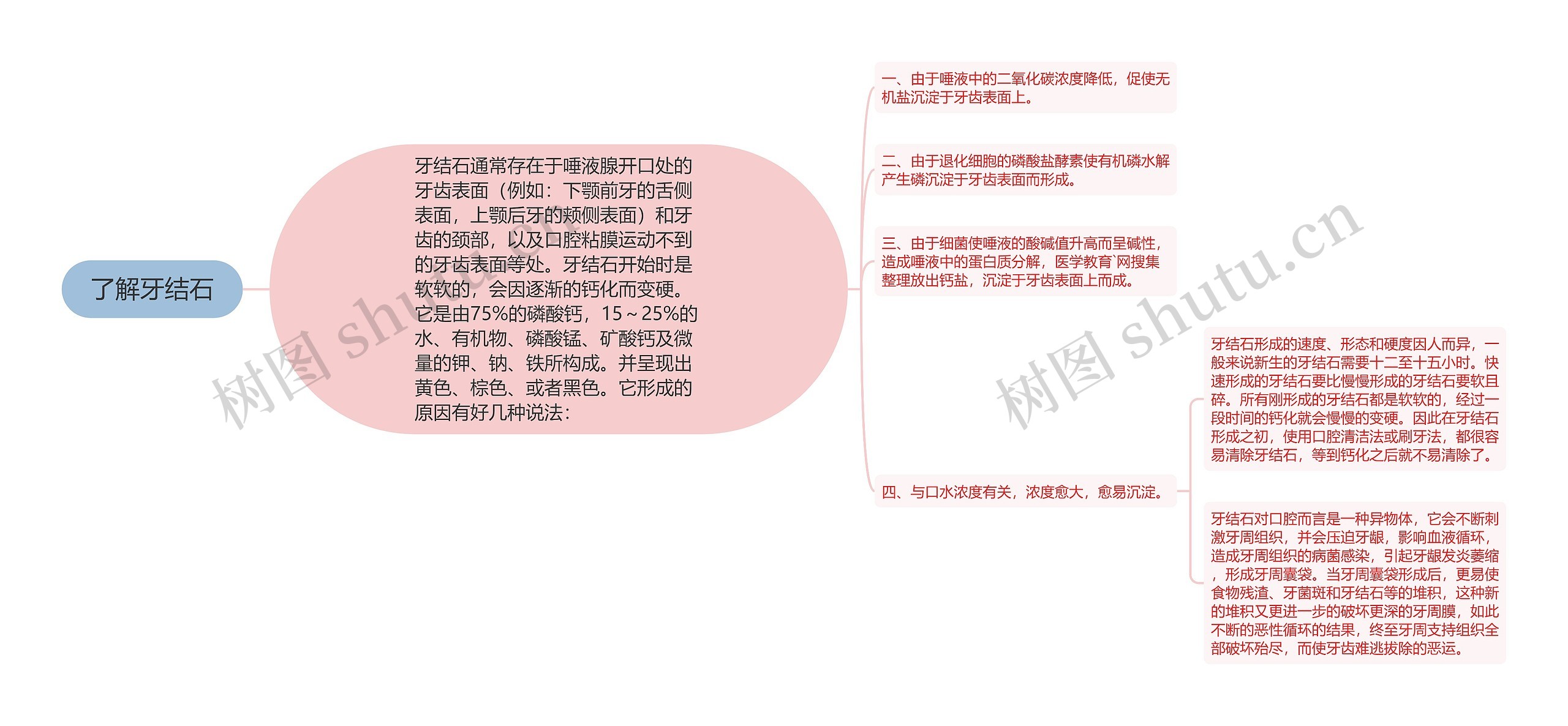 了解牙结石