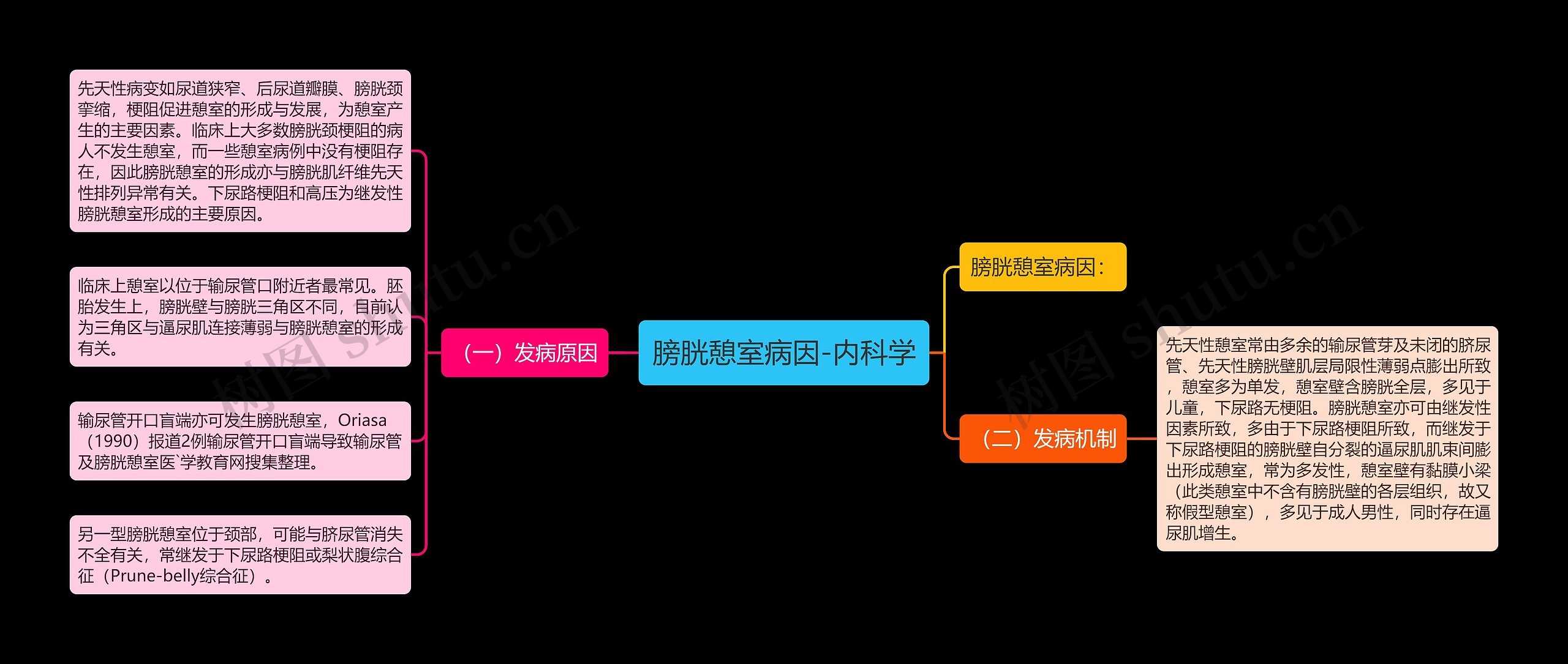 膀胱憩室病因-内科学