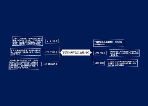 下肢静脉解剖及生理特点