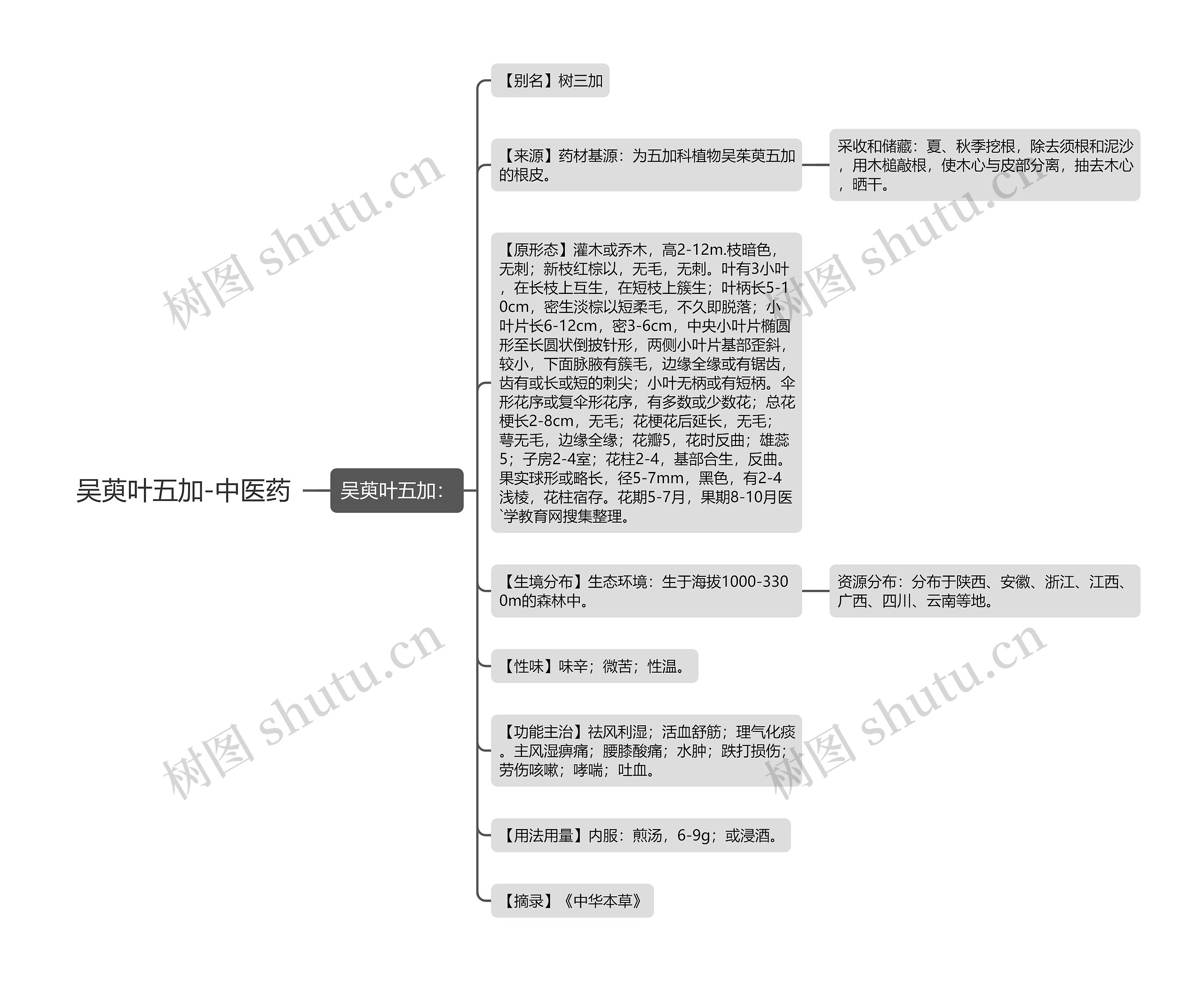 吴萸叶五加-中医药思维导图