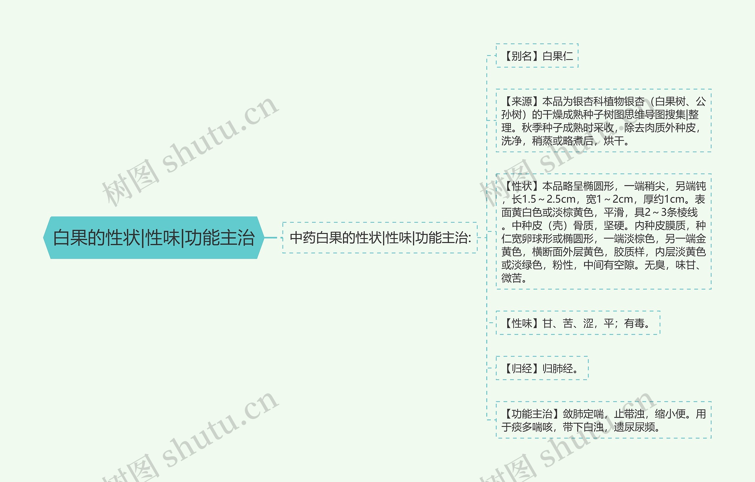 白果的性状|性味|功能主治