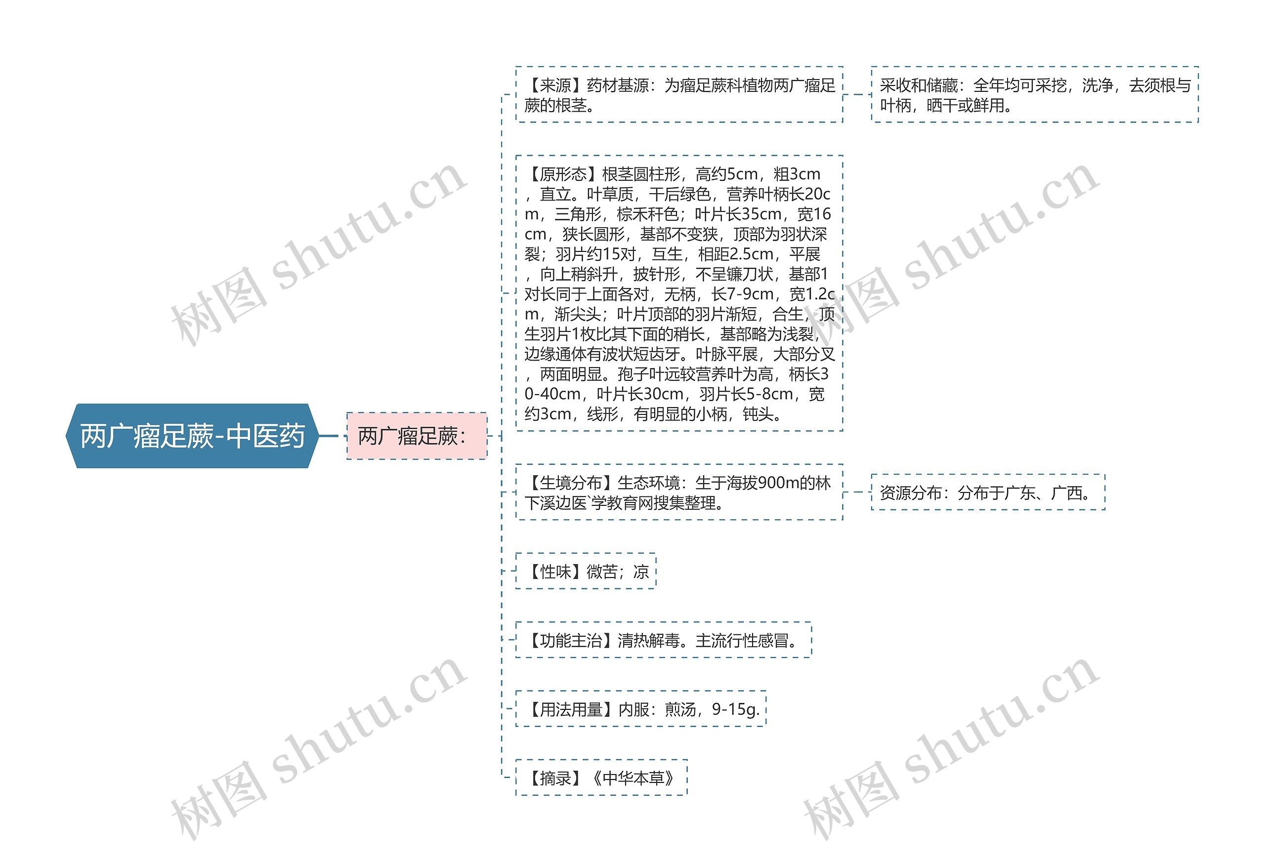 两广瘤足蕨-中医药思维导图