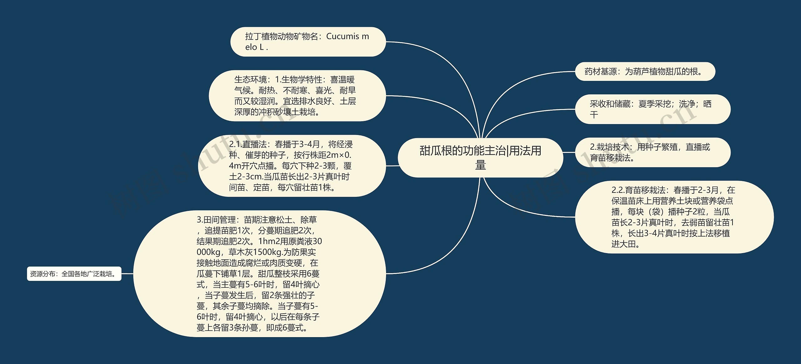 甜瓜根的功能主治|用法用量思维导图