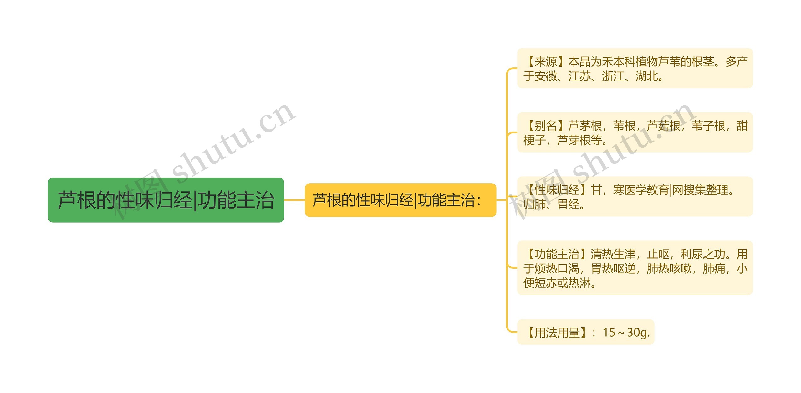 芦根的性味归经|功能主治思维导图