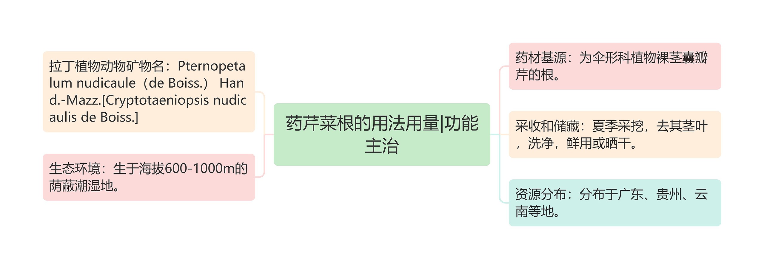药芹菜根的用法用量|功能主治 药芹菜根的用法用量|功能主治