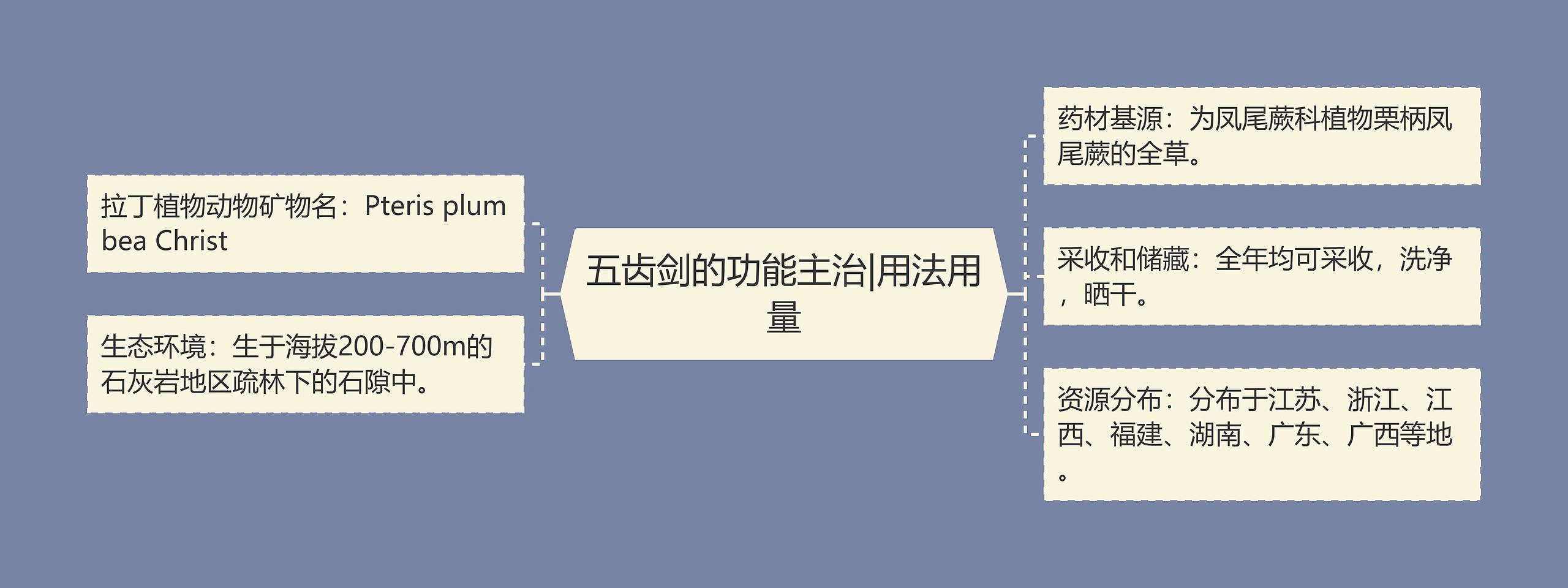 五齿剑的功能主治|用法用量