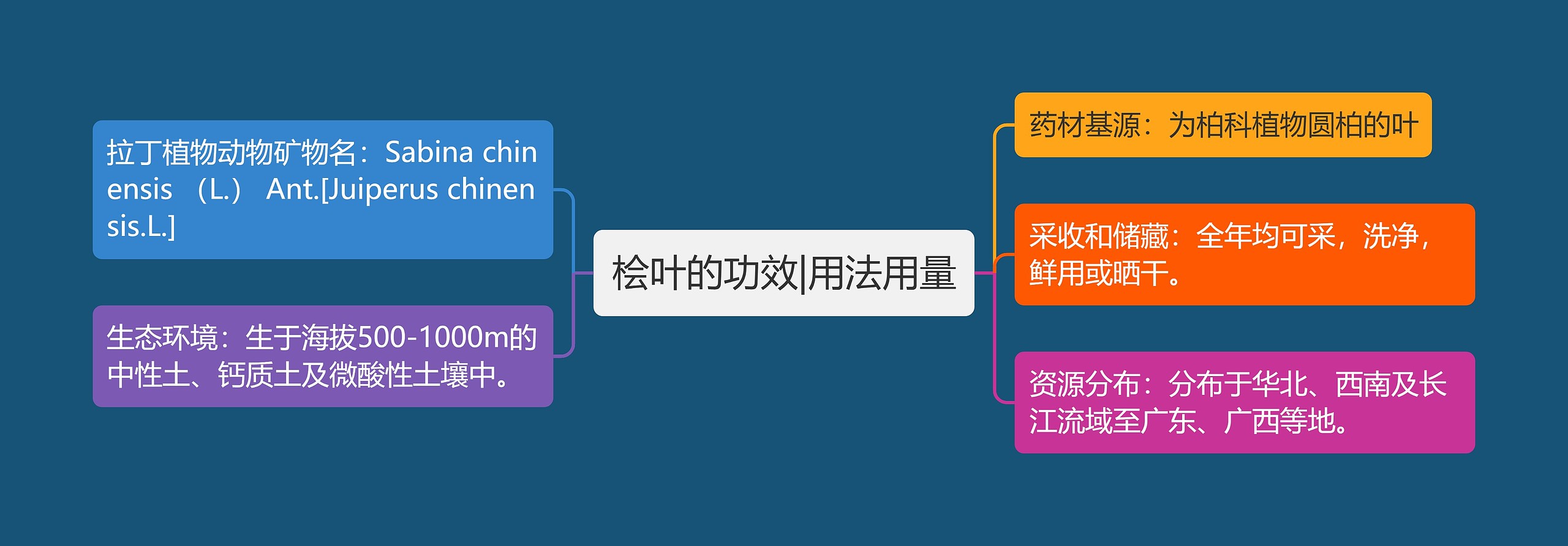 桧叶的功效|用法用量 桧叶的功效|用法用量