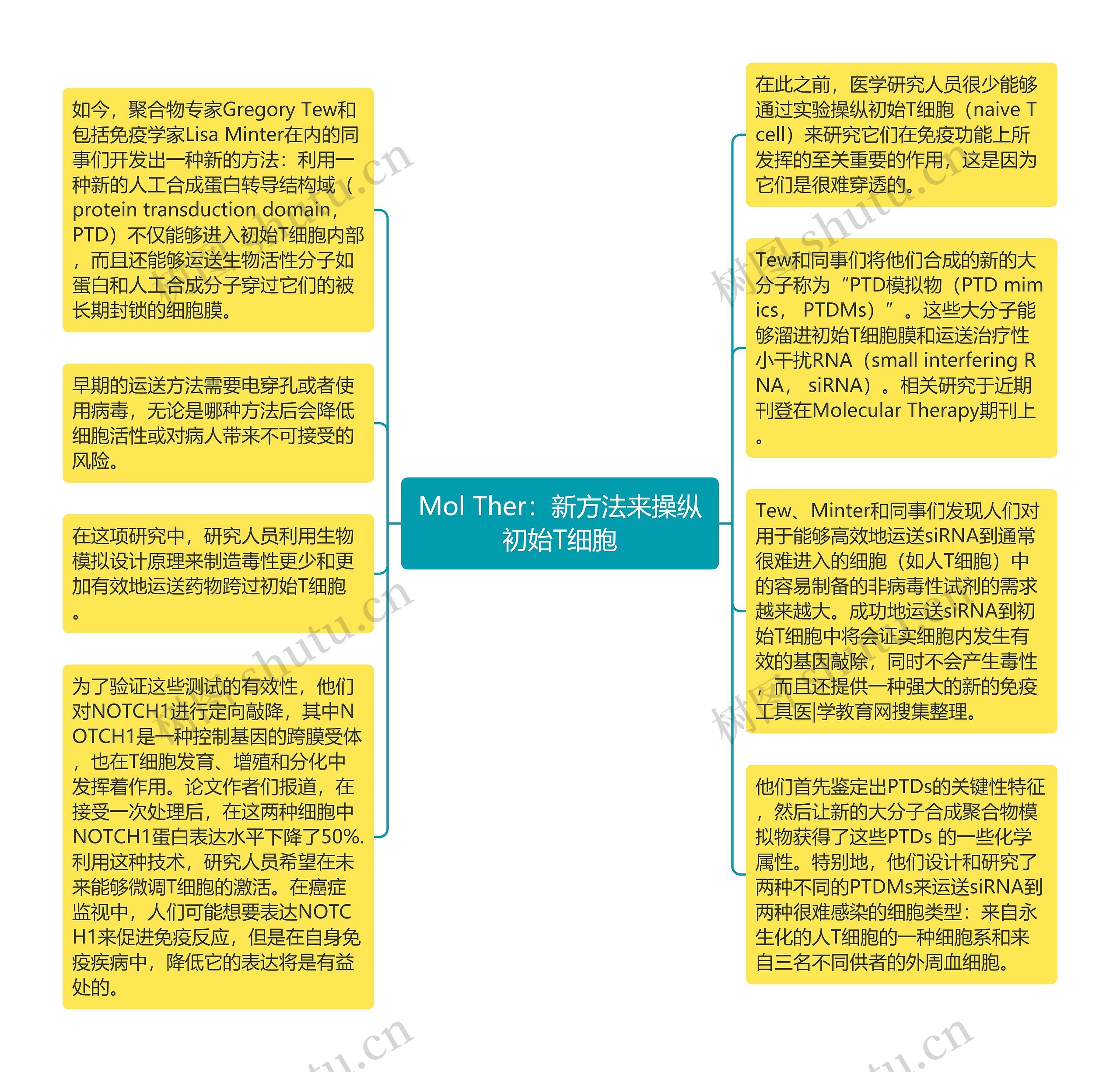 Mol Ther：新方法来操纵初始T细胞思维导图