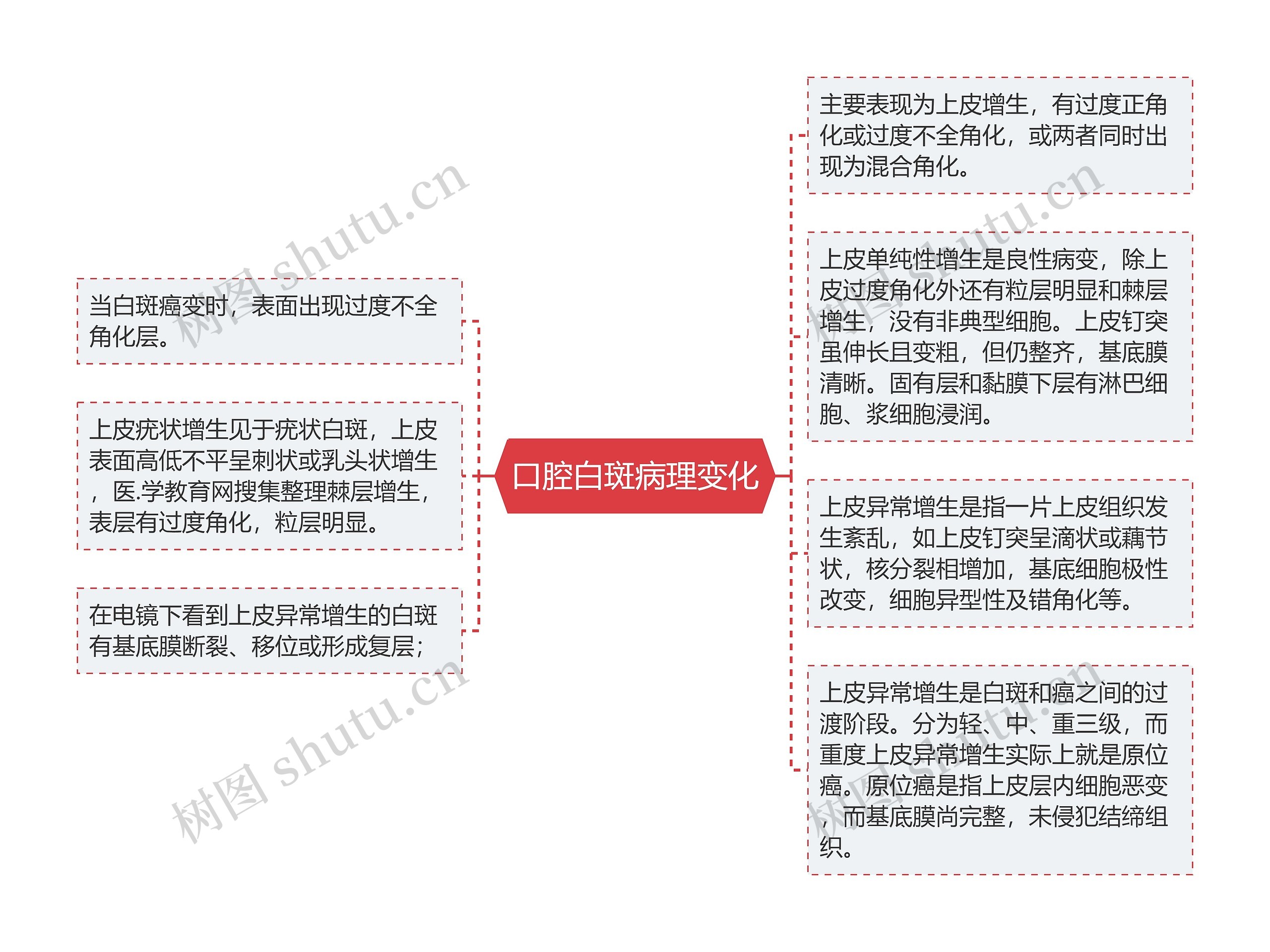 口腔白斑病理变化思维导图