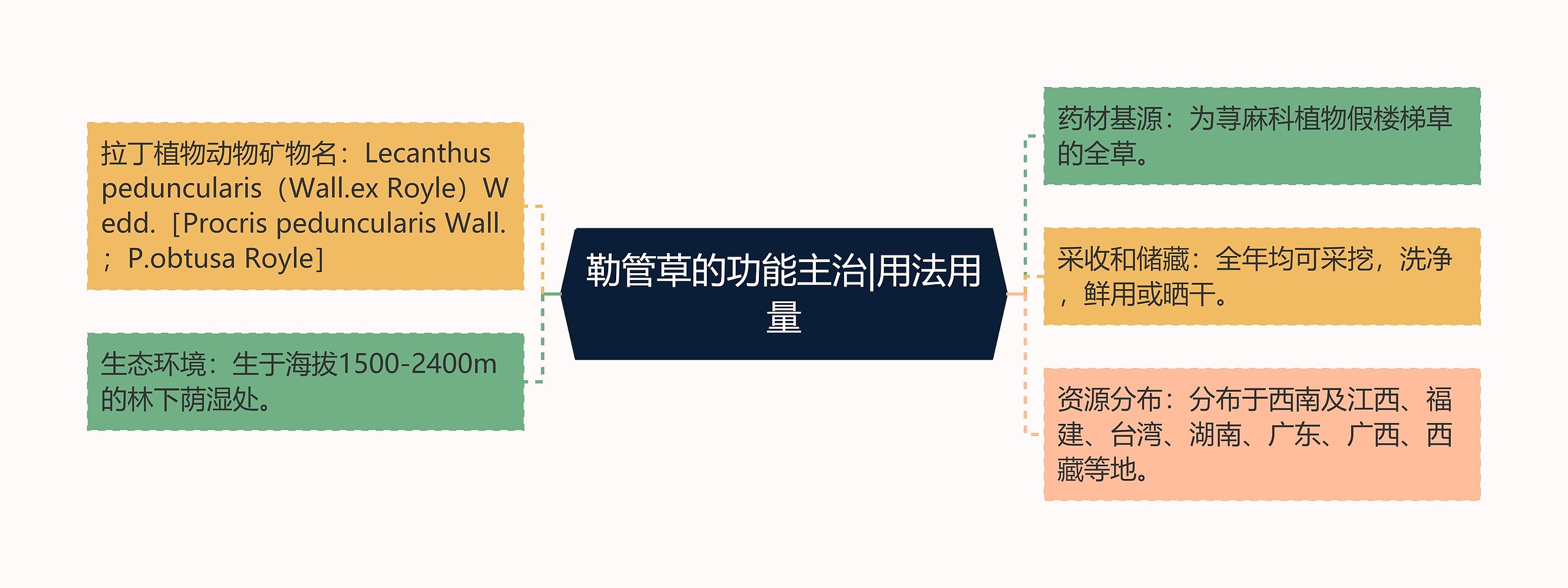 勒管草的功能主治|用法用量思维导图