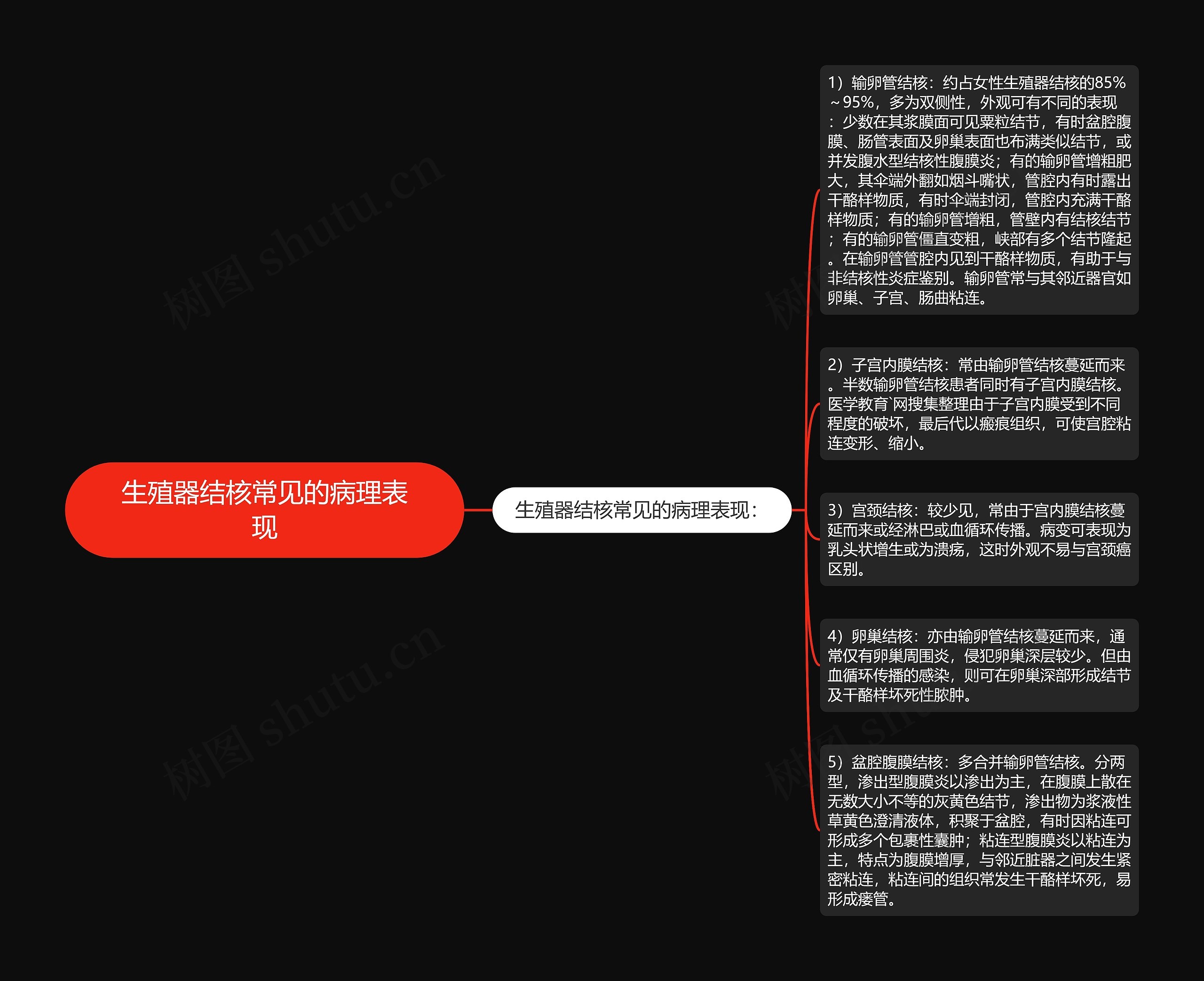 生殖器结核常见的病理表现思维导图