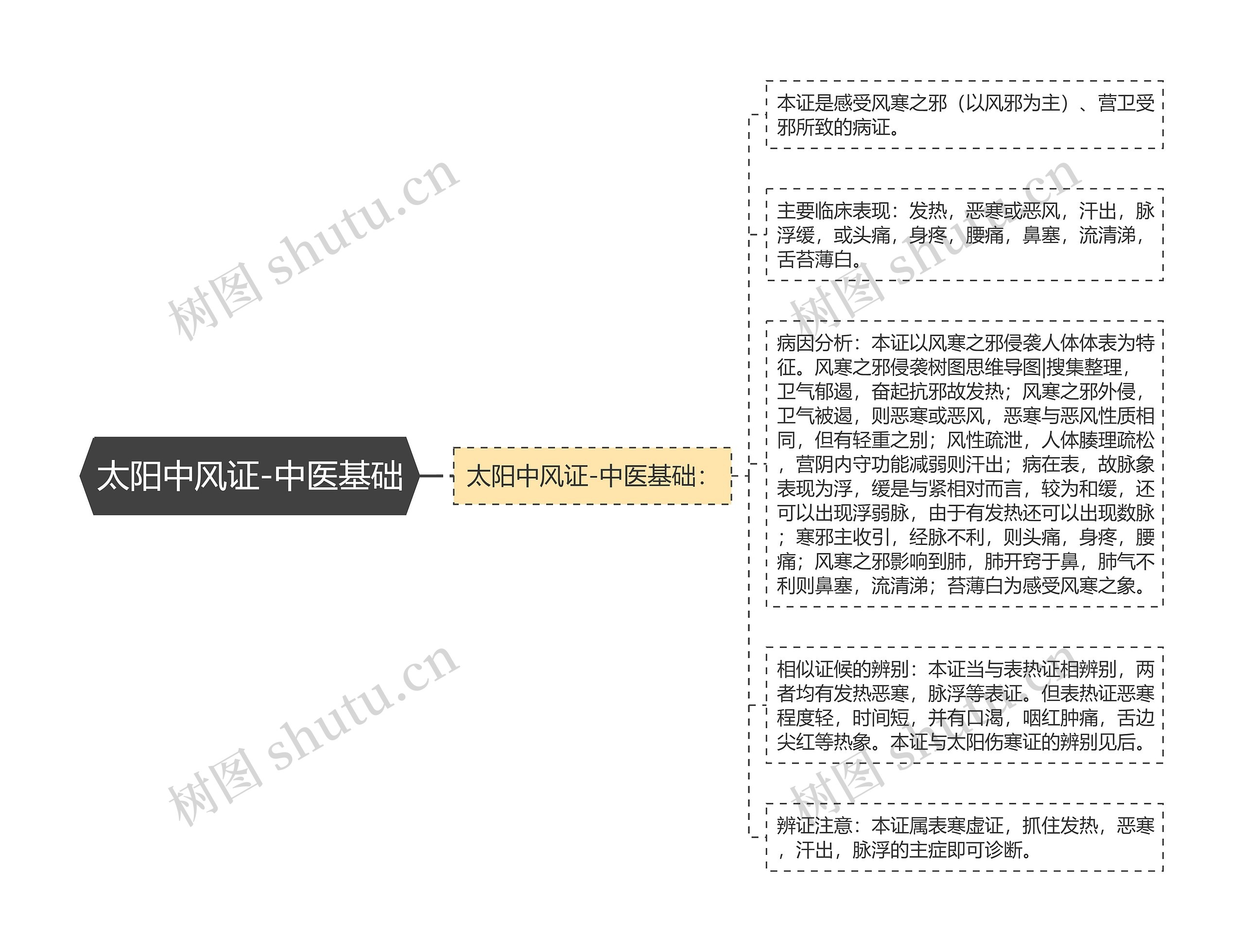 太阳中风证-中医基础 太阳中风证-中医基础