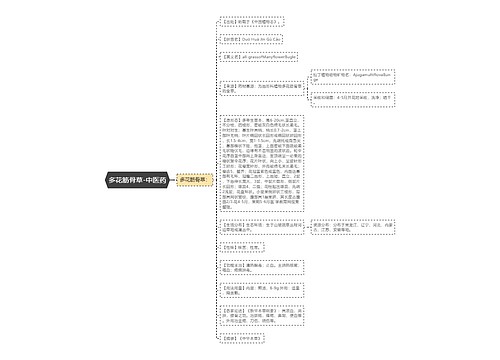 多花筋骨草-中医药
