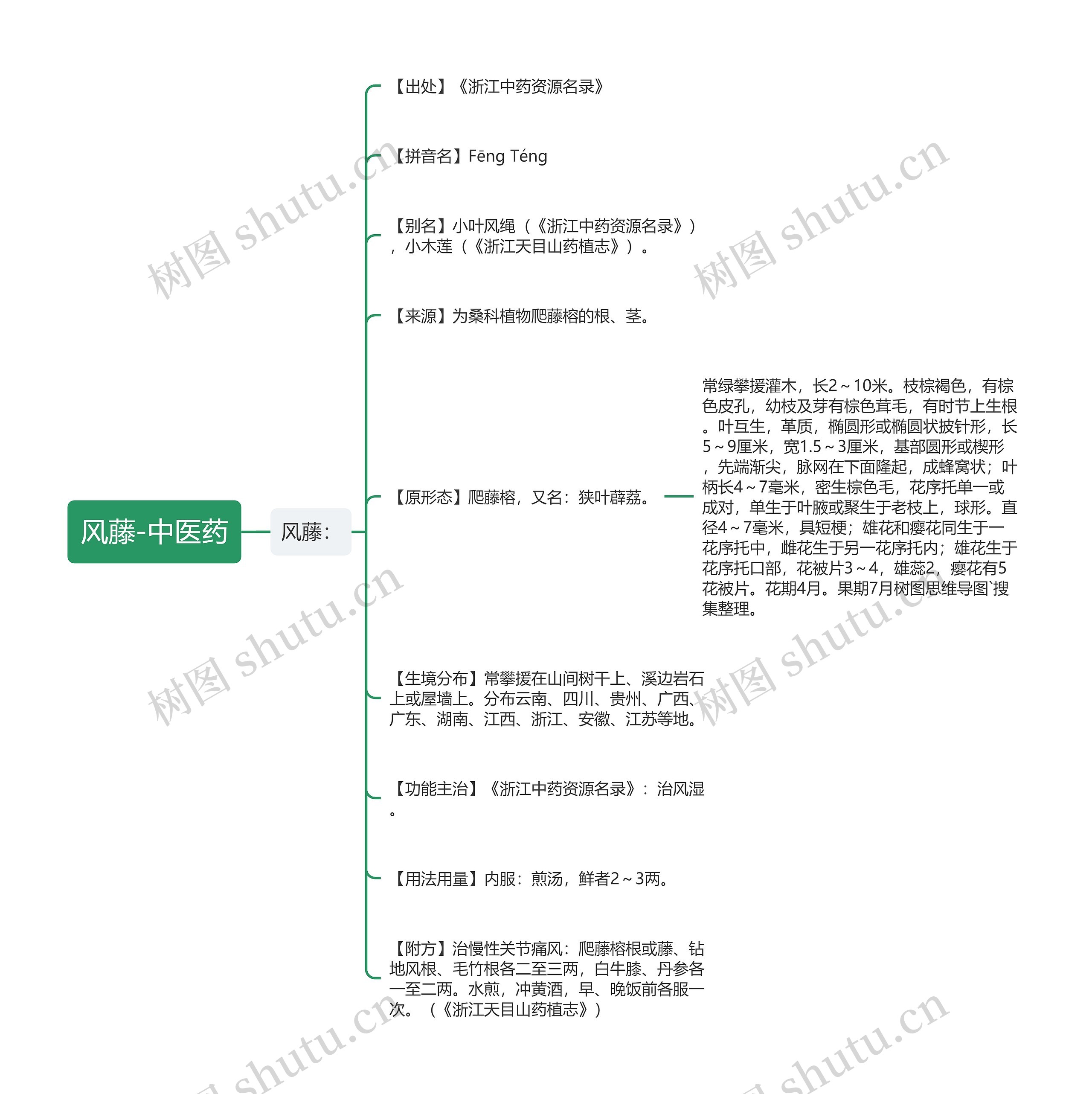 风藤-中医药 风藤-中医药