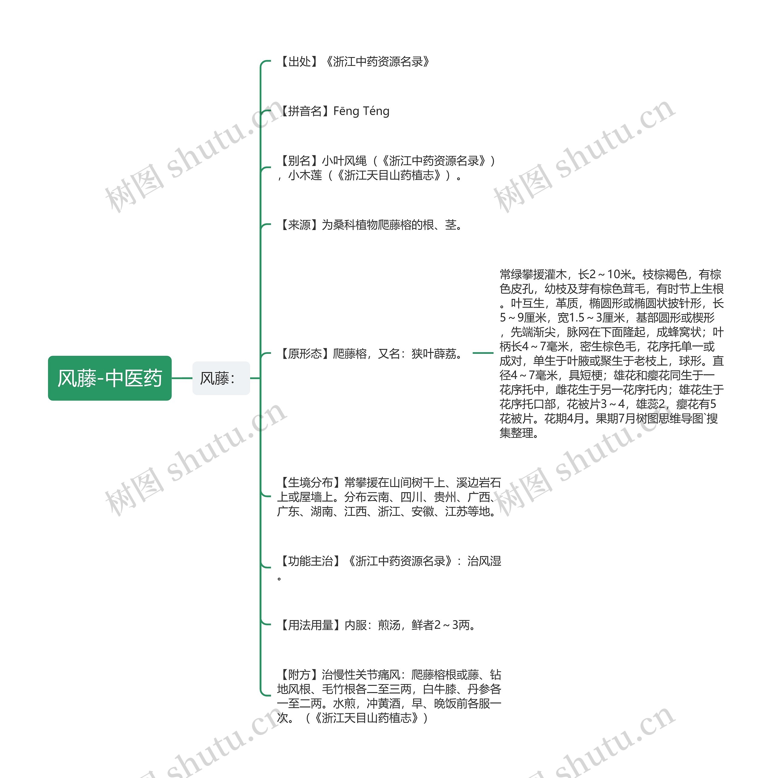 风藤-中医药
