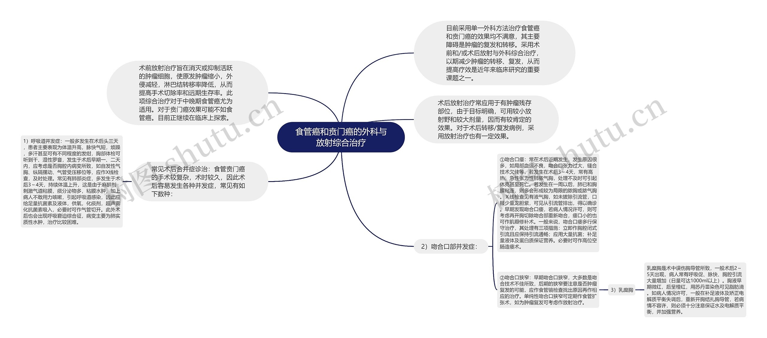 食管癌和贲门癌的外科与放射综合治疗