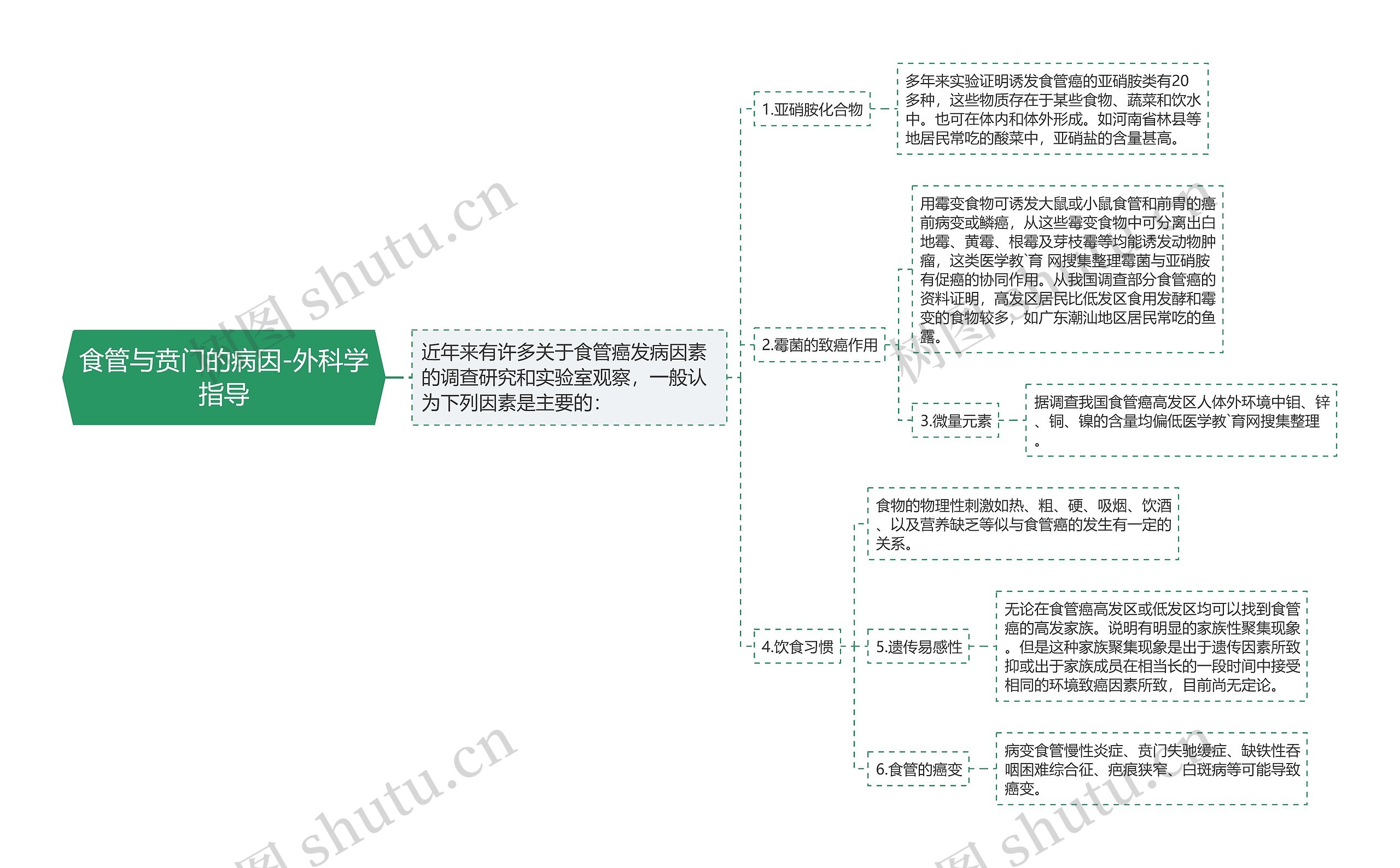 食管与贲门的病因-外科学指导思维导图