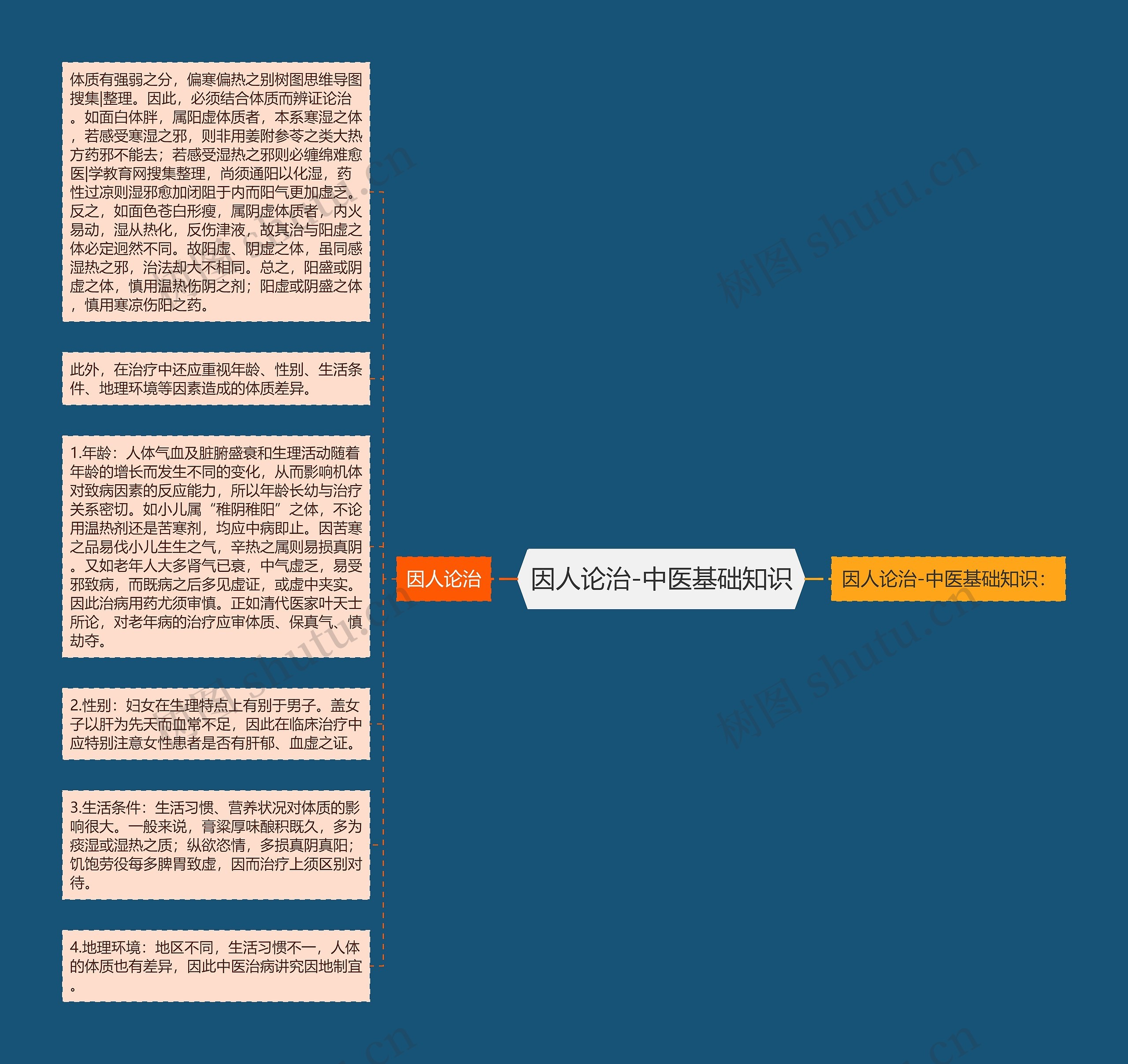 因人论治-中医基础知识思维导图