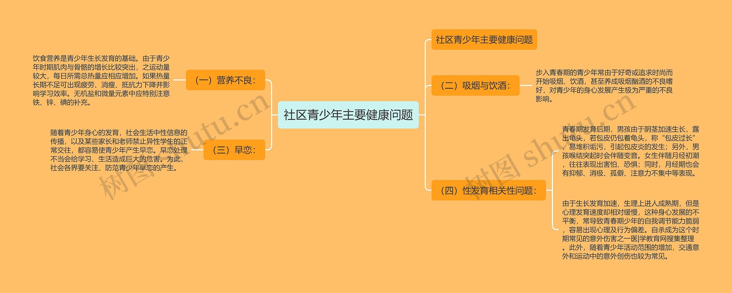 社区青少年主要健康问题思维导图