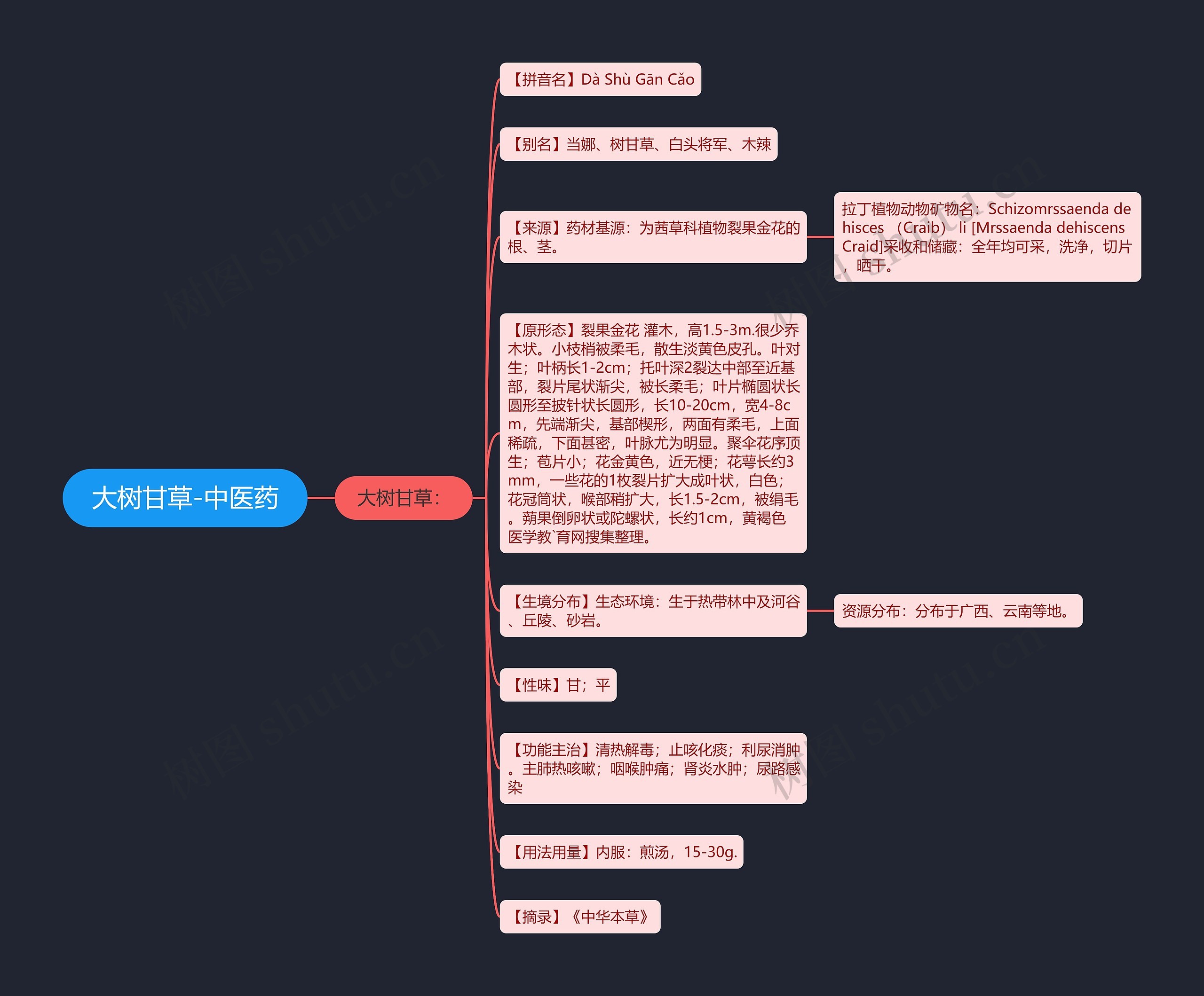 大树甘草-中医药思维导图