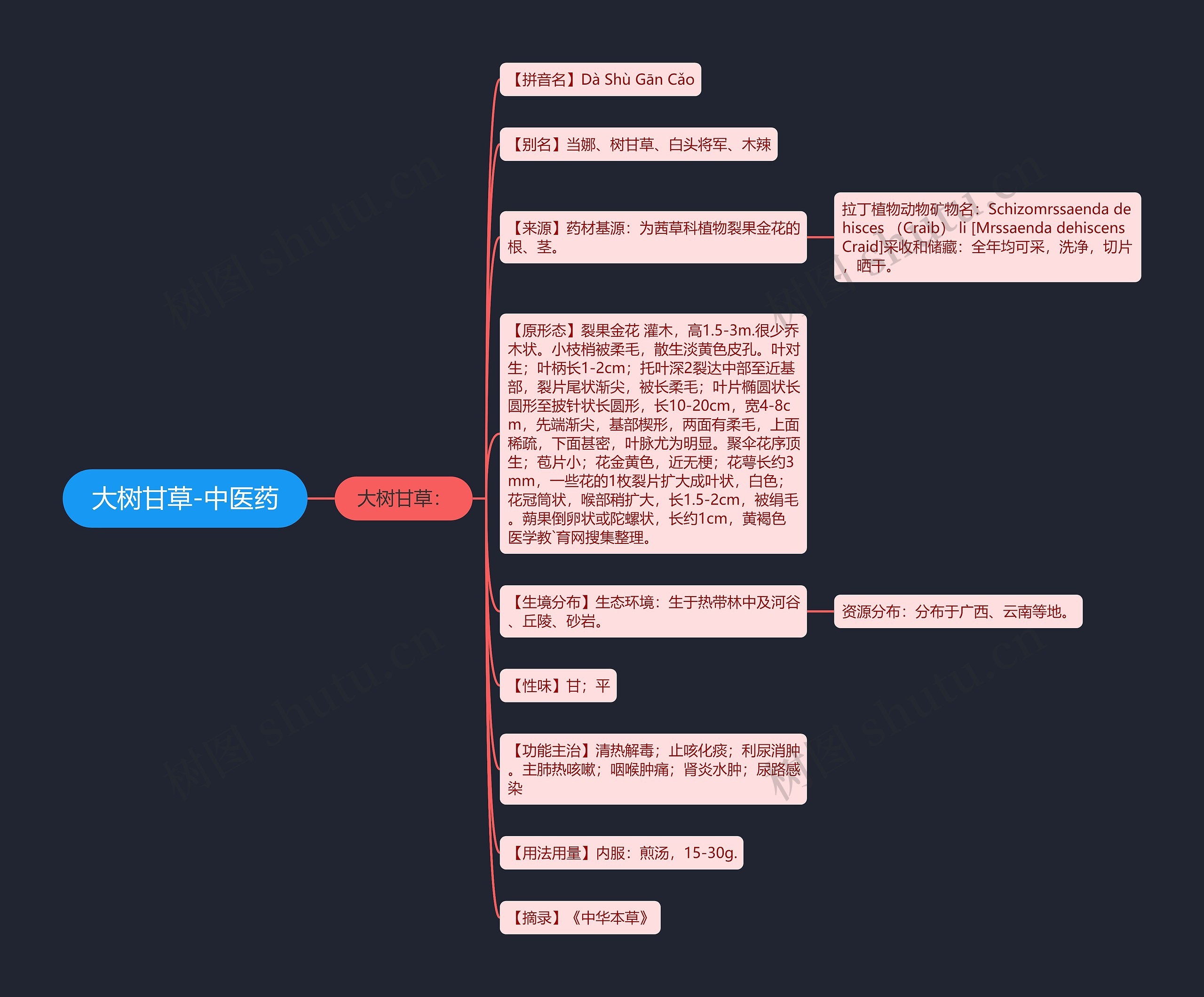 大树甘草-中医药 大树甘草-中医药