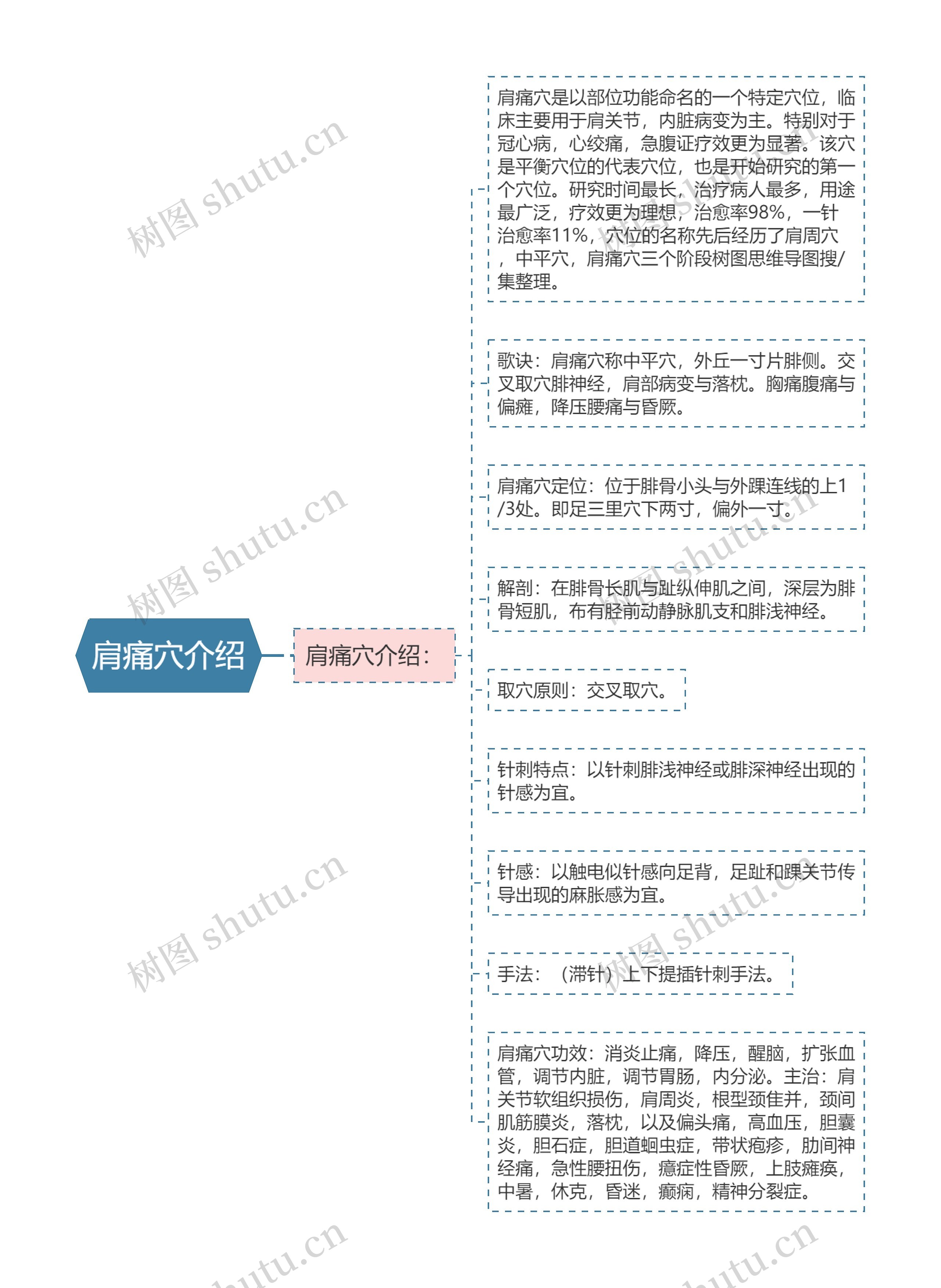 肩痛穴介绍思维导图