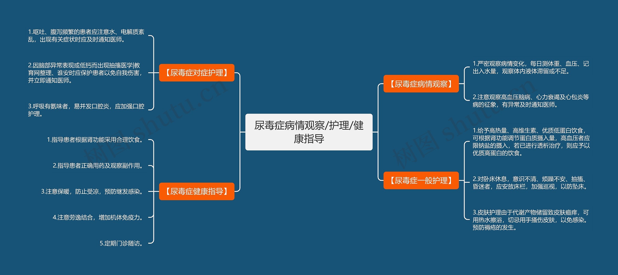 尿毒症病情观察/护理/健康指导 尿毒症病情观察/护理/健康指导