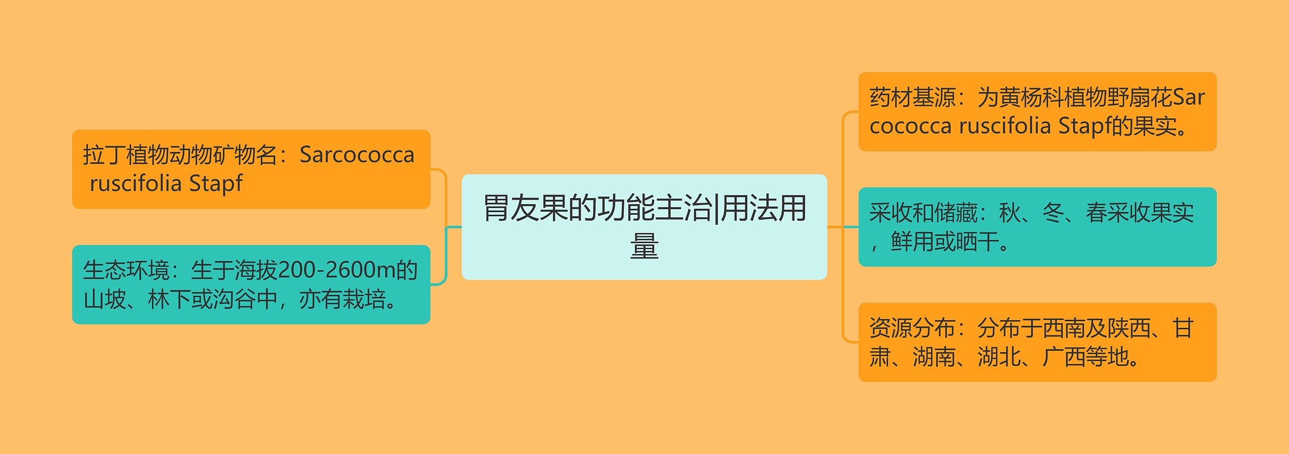 胃友果的功能主治|用法用量 胃友果的功能主治|用法用量