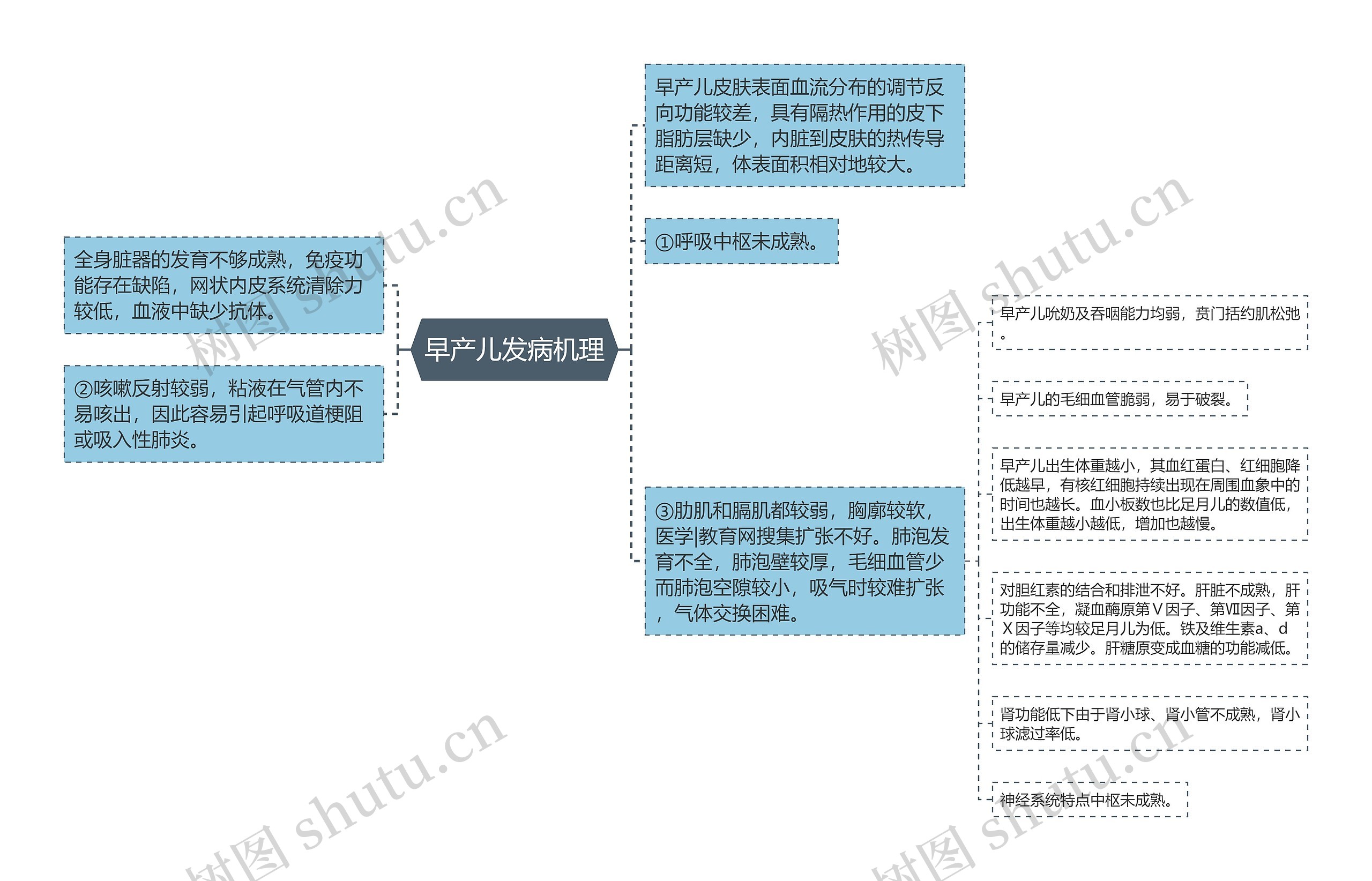 早产儿发病机理思维导图