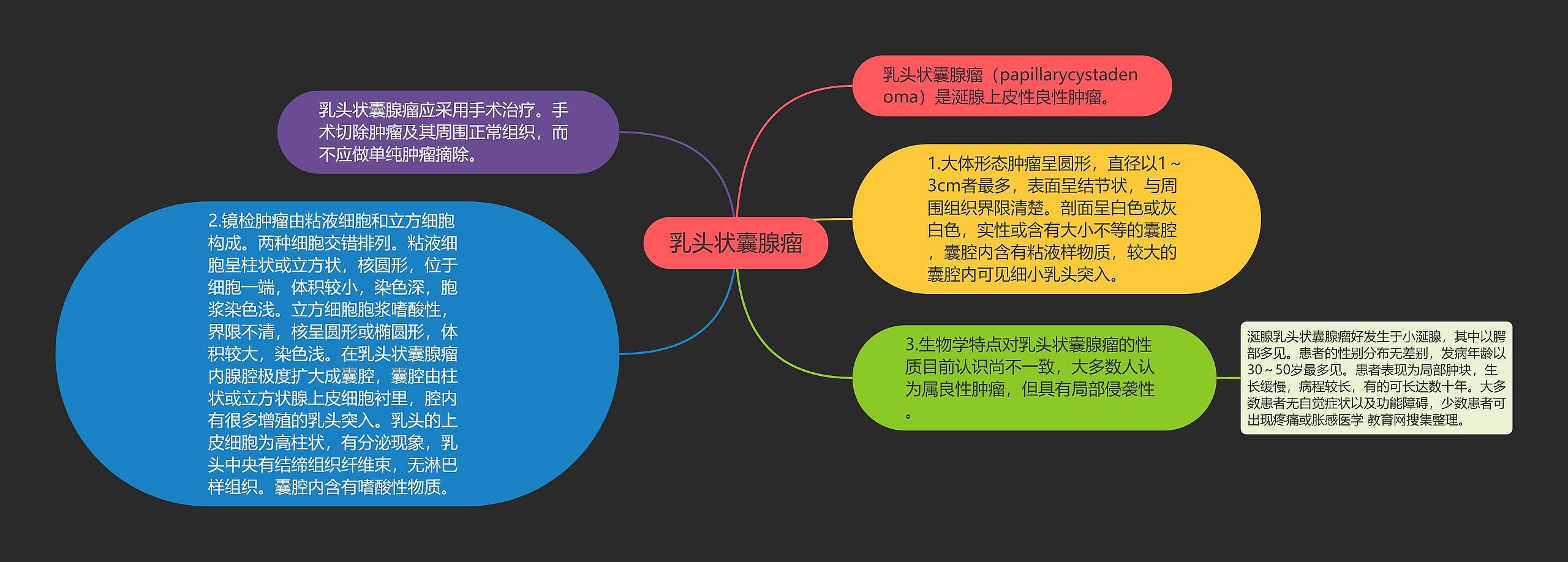 乳头状囊腺瘤思维导图