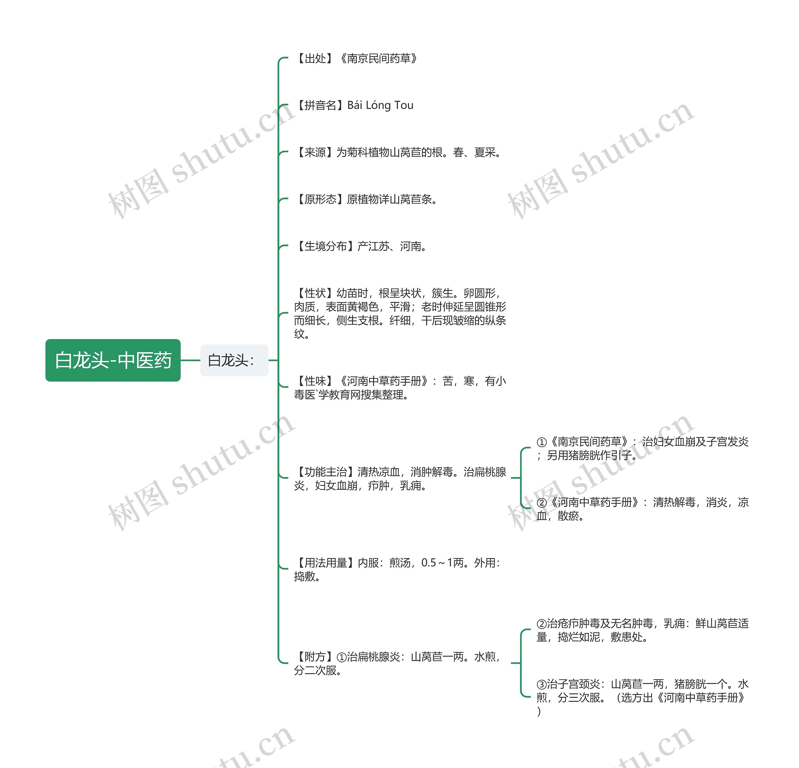 白龙头-中医药思维导图