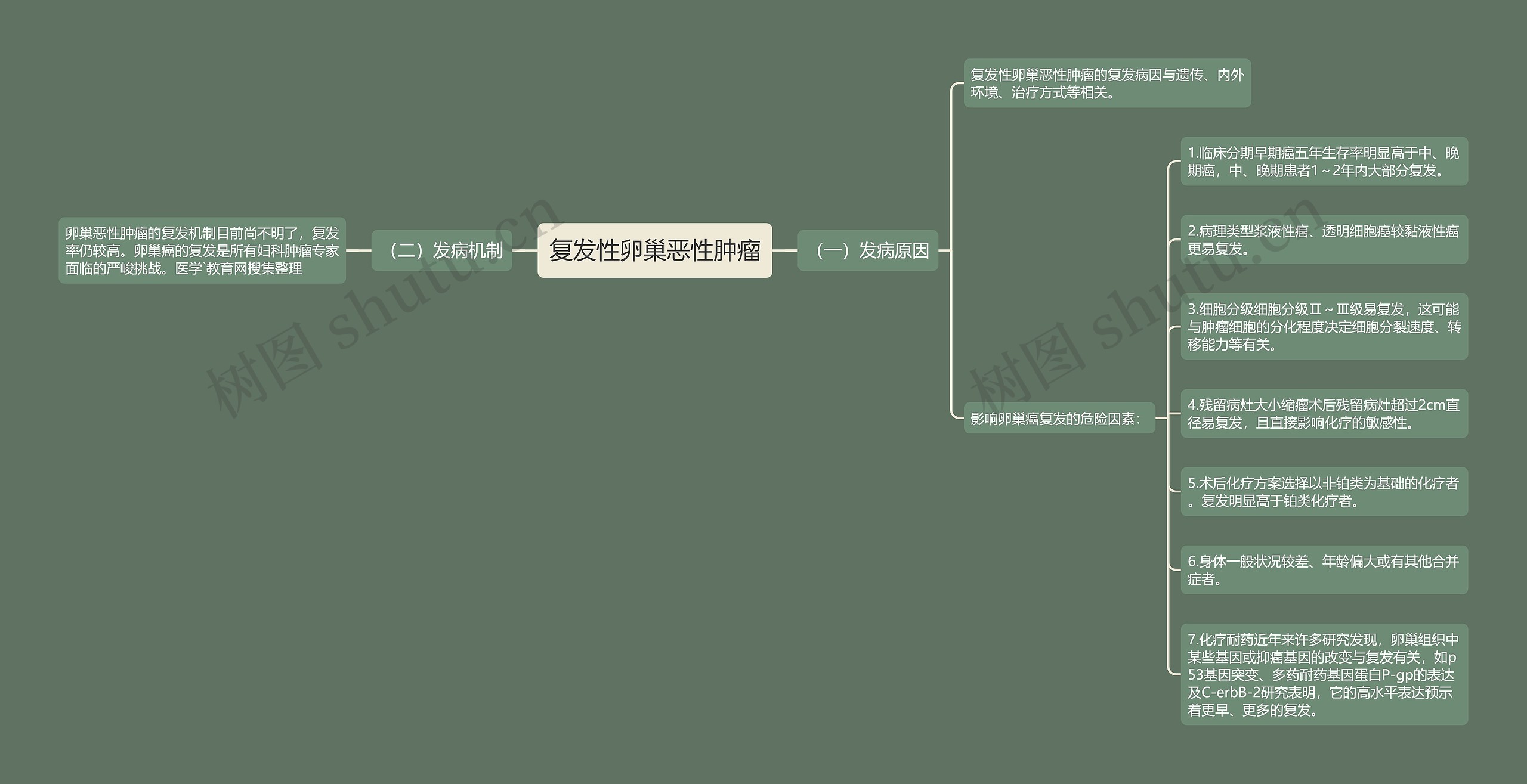 复发性卵巢恶性肿瘤