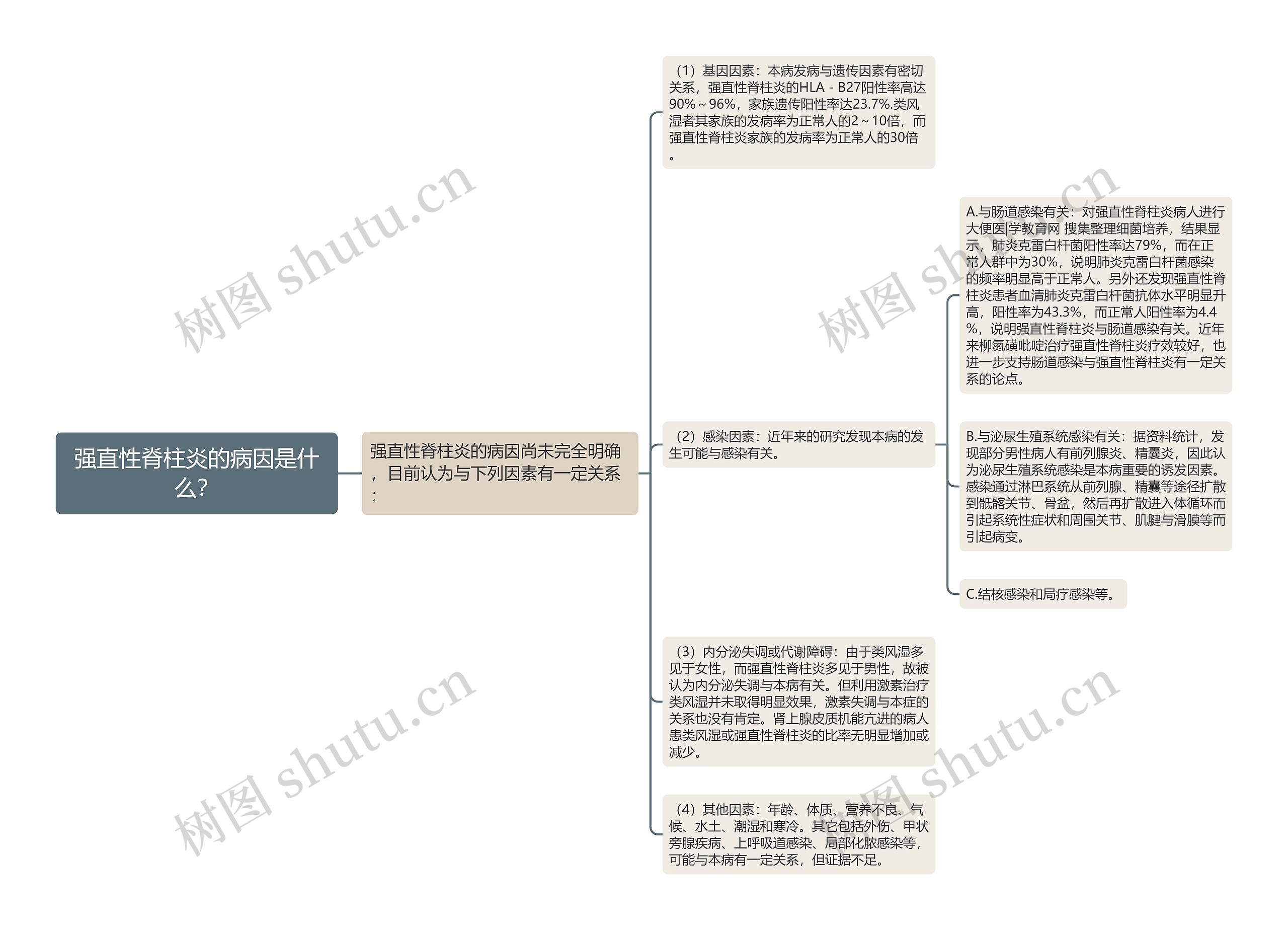 强直性脊柱炎的病因是什么？