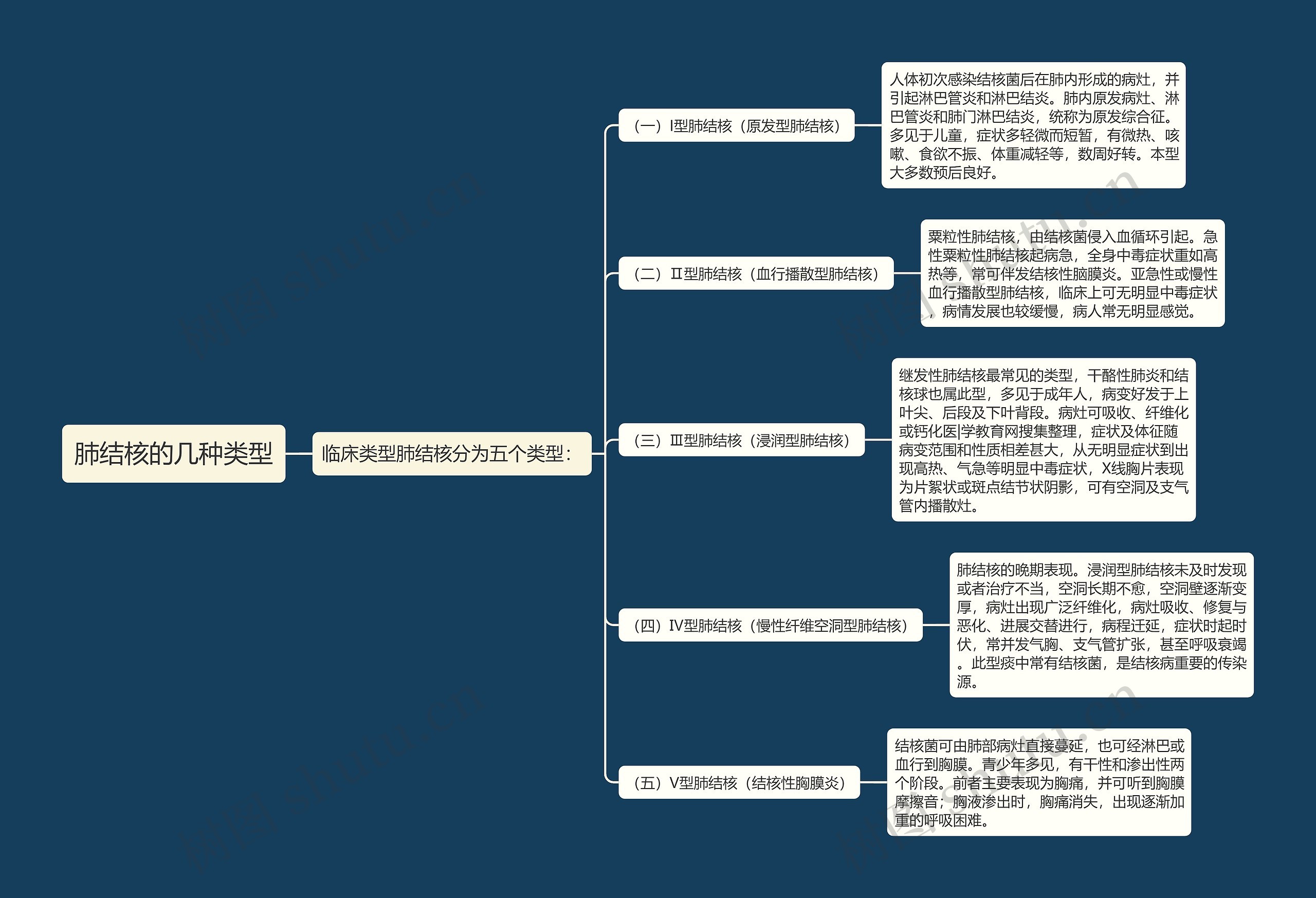 肺结核的几种类型思维导图