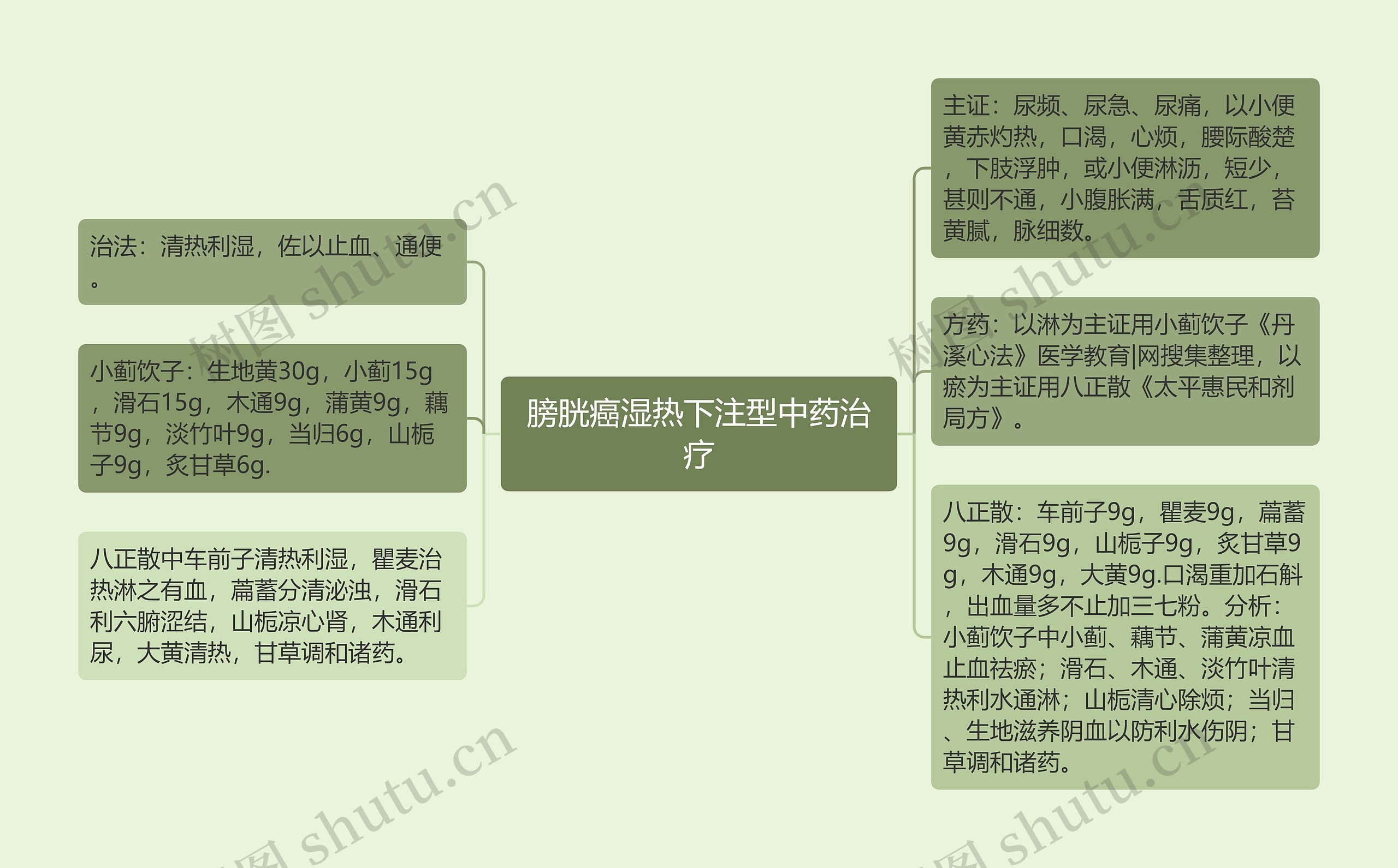 膀胱癌湿热下注型中药治疗思维导图