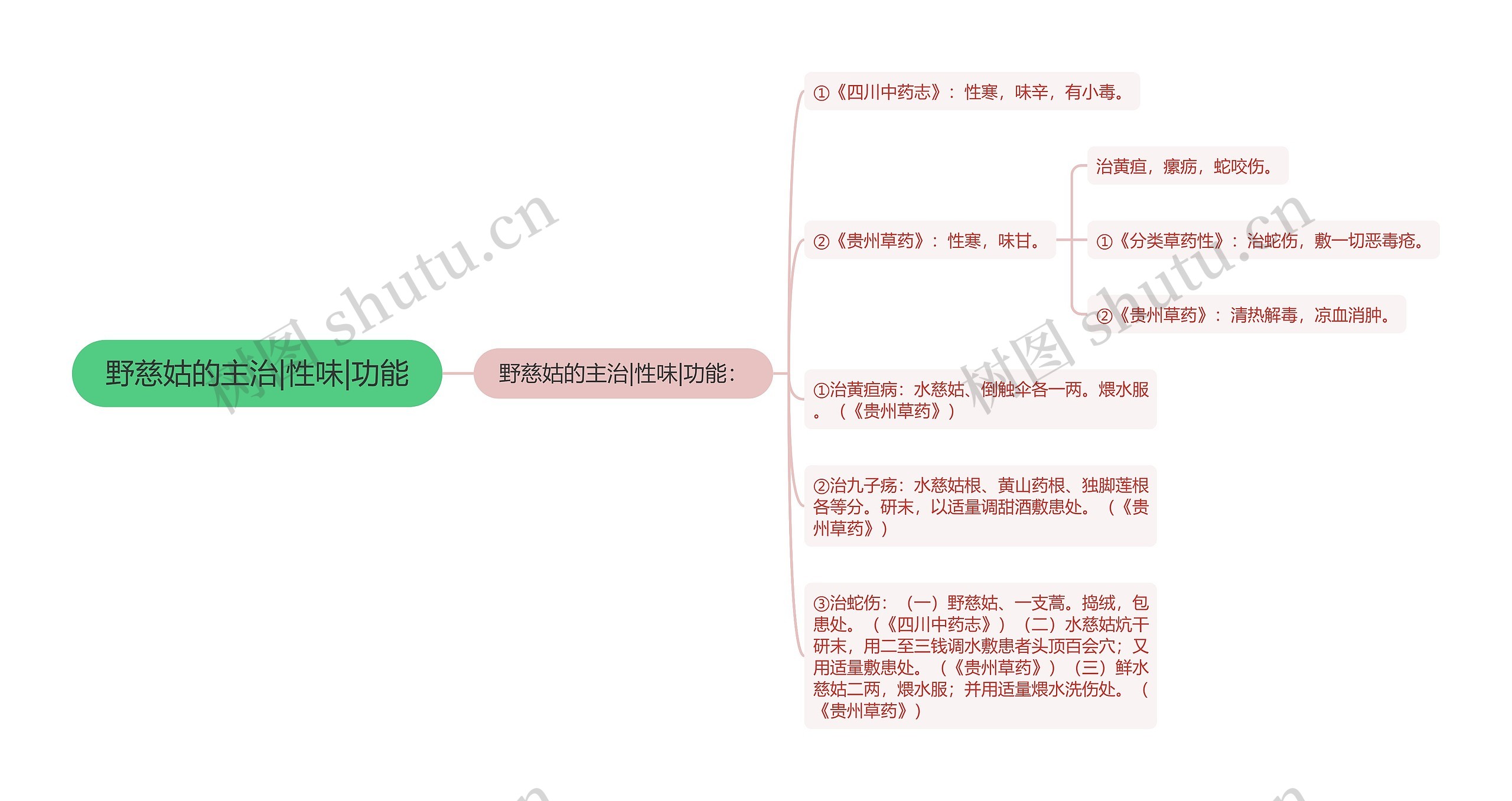 野慈姑的主治|性味|功能