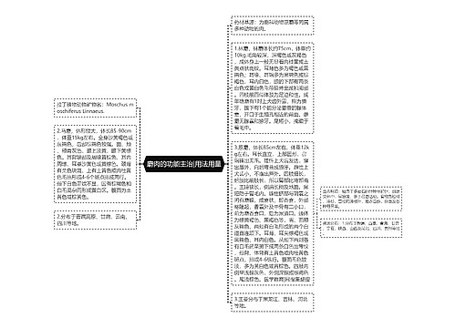 麝肉的功能主治|用法用量