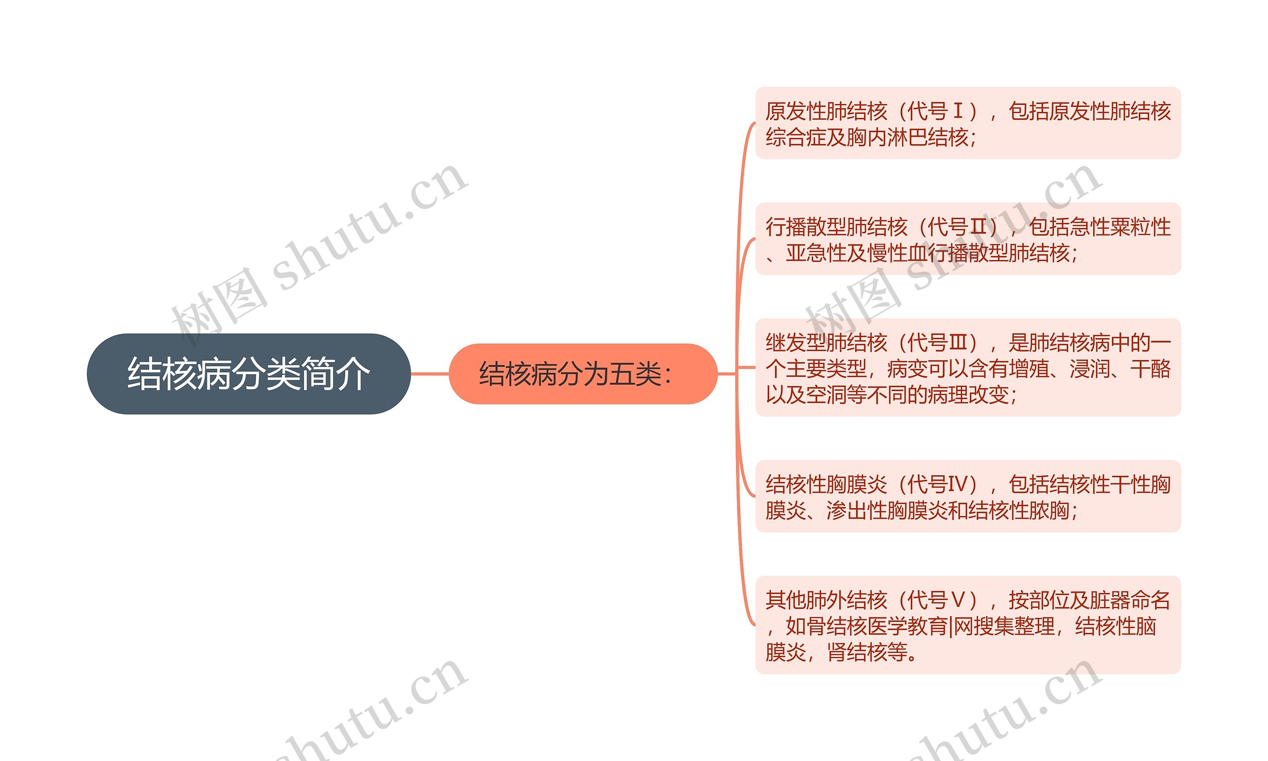 结核病分类简介思维导图