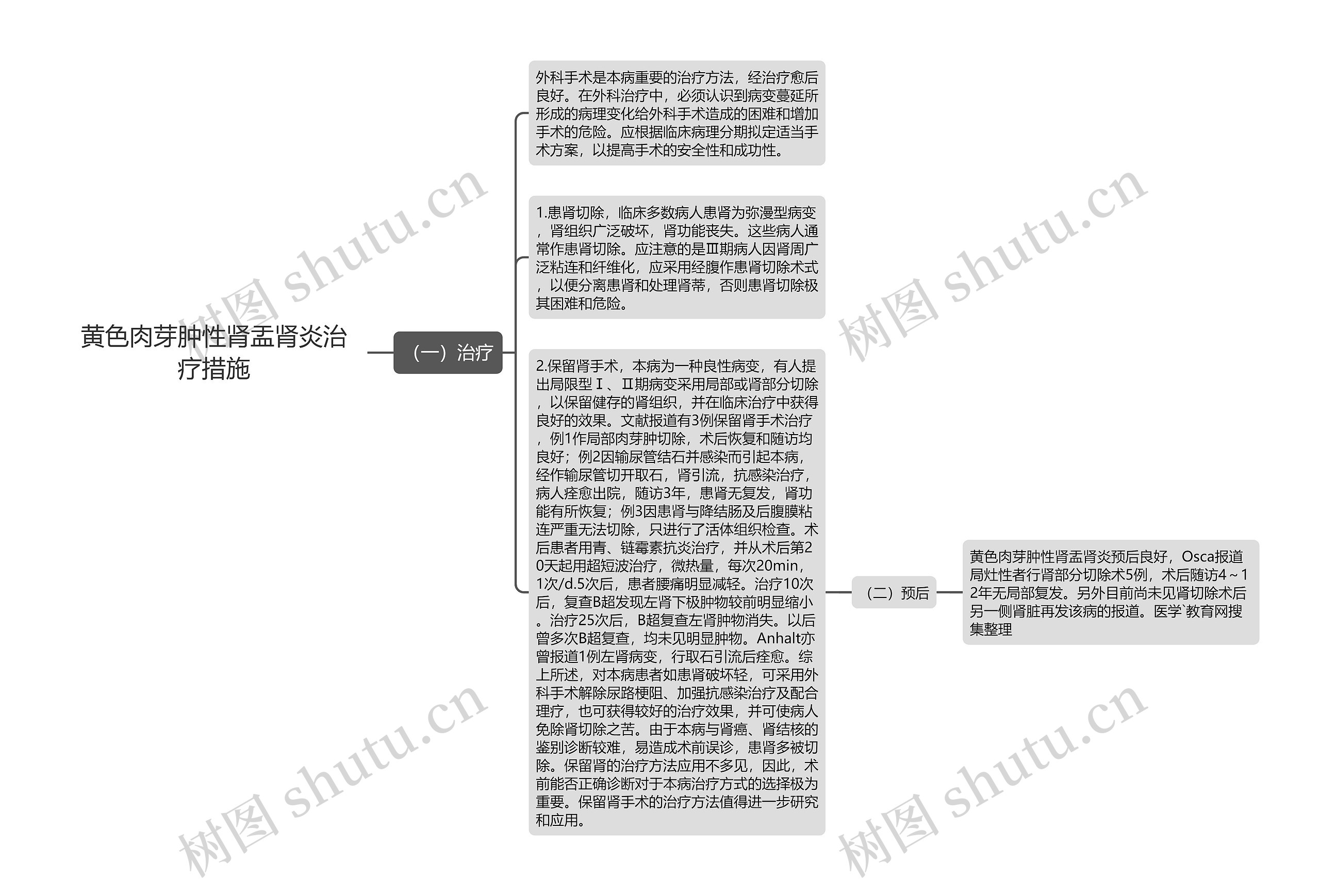 黄色肉芽肿性肾盂肾炎治疗措施思维导图